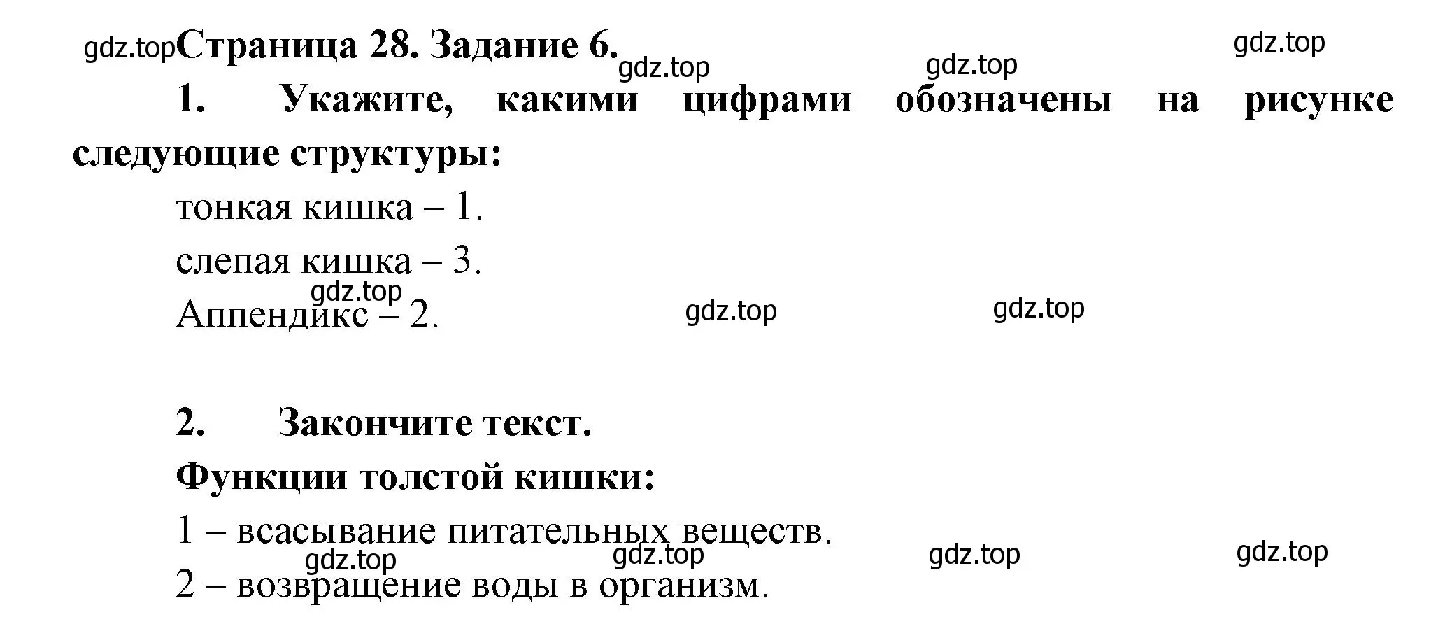 Решение  Задание 6 (страница 28) гдз по биологии 9 класс Драгомилов, Маш, рабочая тетрадь 2 часть