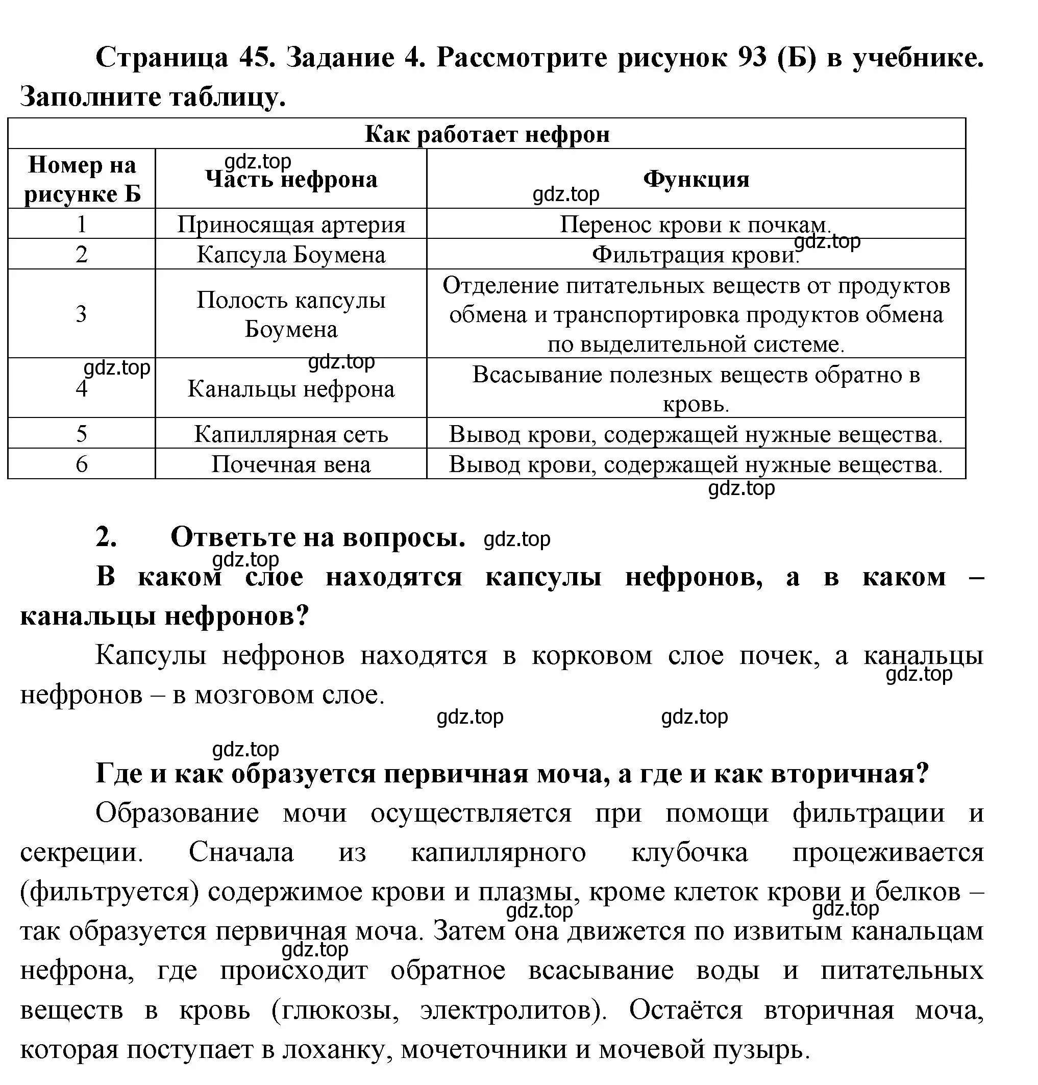 Решение  Задание 4 (страница 45) гдз по биологии 9 класс Драгомилов, Маш, рабочая тетрадь 2 часть