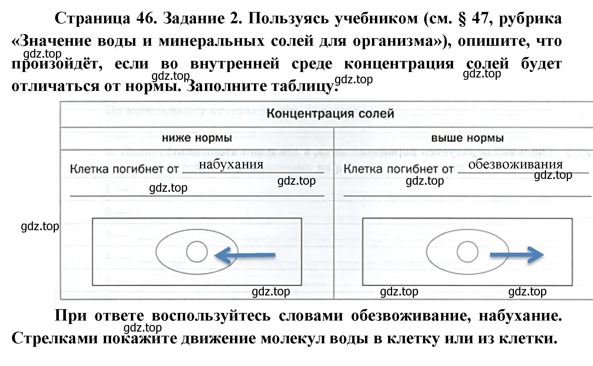 Решение  Задание 2 (страница 46) гдз по биологии 9 класс Драгомилов, Маш, рабочая тетрадь 2 часть