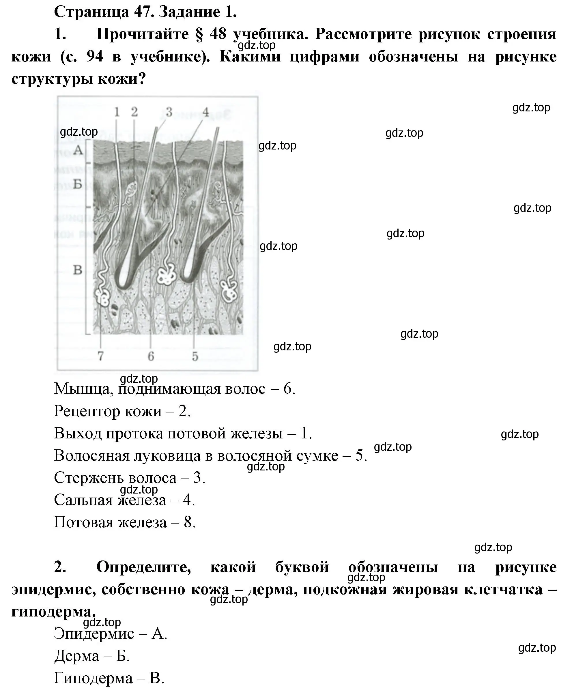 Решение  Задание 1 (страница 47) гдз по биологии 9 класс Драгомилов, Маш, рабочая тетрадь 2 часть