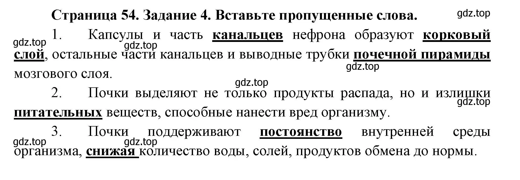 Решение  Задание 4 (страница 54) гдз по биологии 9 класс Драгомилов, Маш, рабочая тетрадь 2 часть