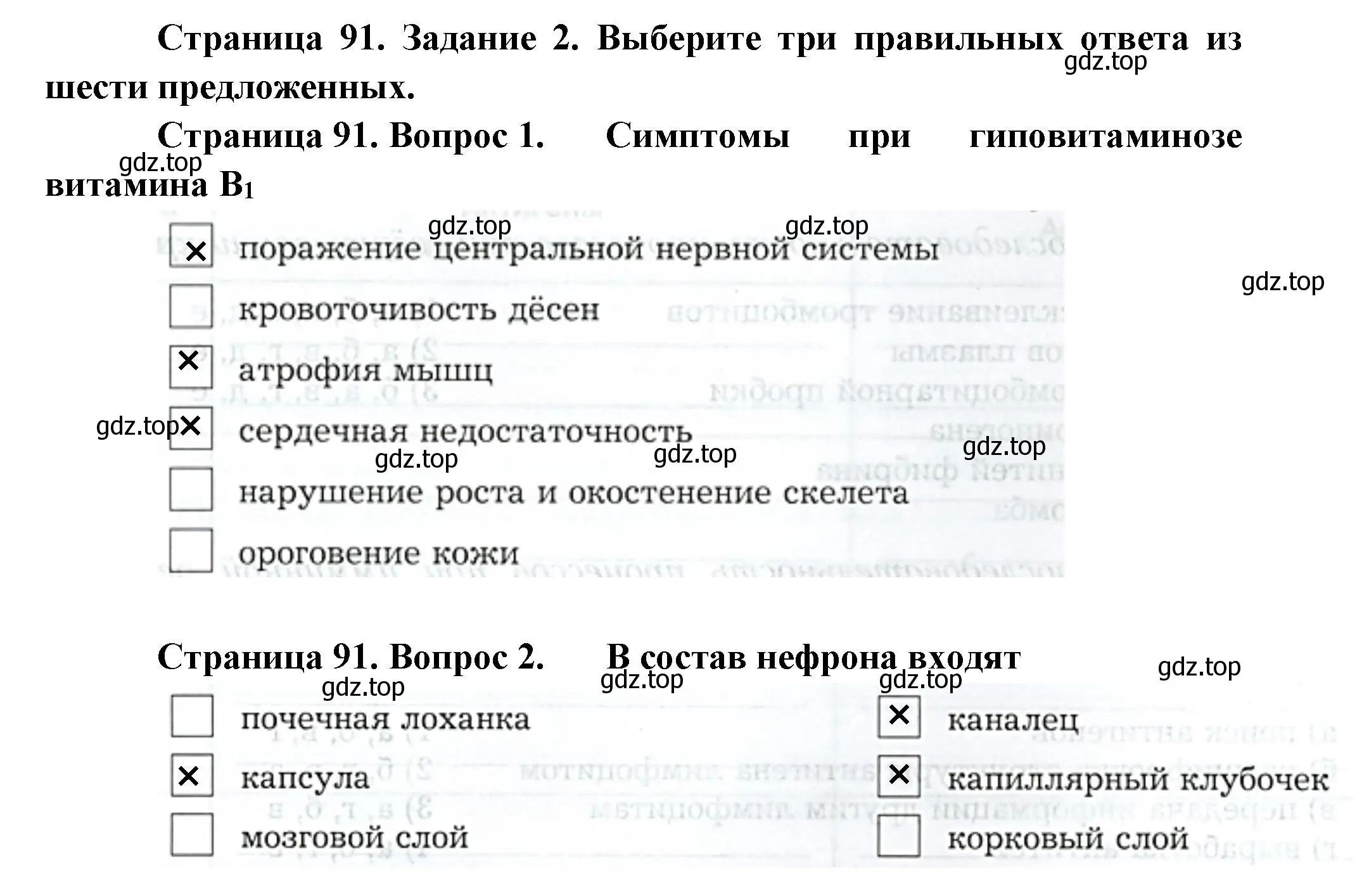 Решение  Задание 2 (страница 91) гдз по биологии 9 класс Драгомилов, Маш, рабочая тетрадь 2 часть