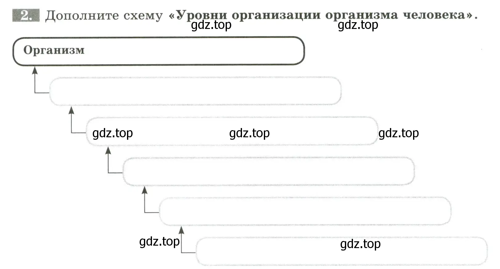 Условие номер 2 (страница 12) гдз по биологии 9 класс Пасечник, Швецов, рабочая тетрадь