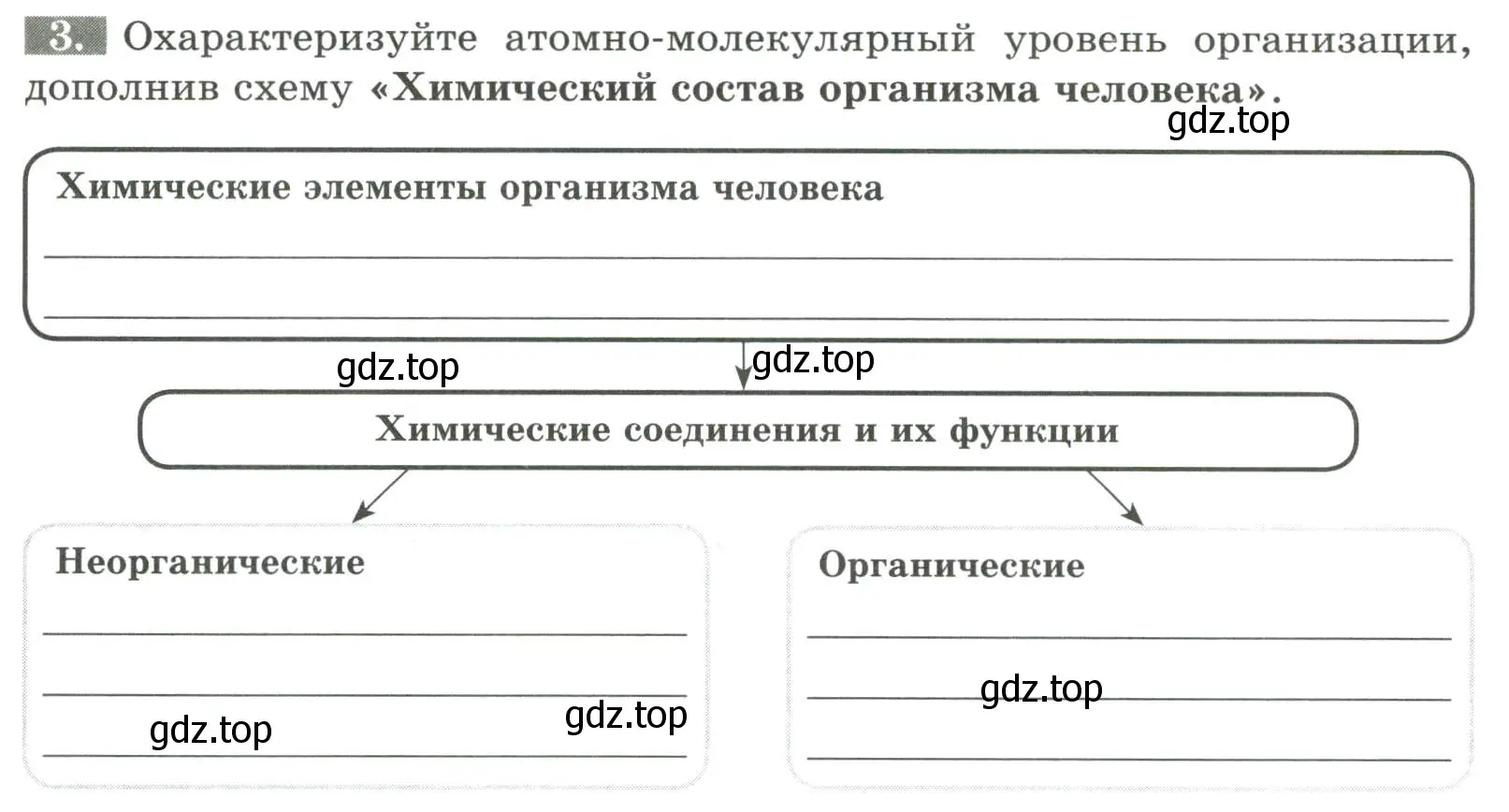 Условие номер 3 (страница 13) гдз по биологии 9 класс Пасечник, Швецов, рабочая тетрадь