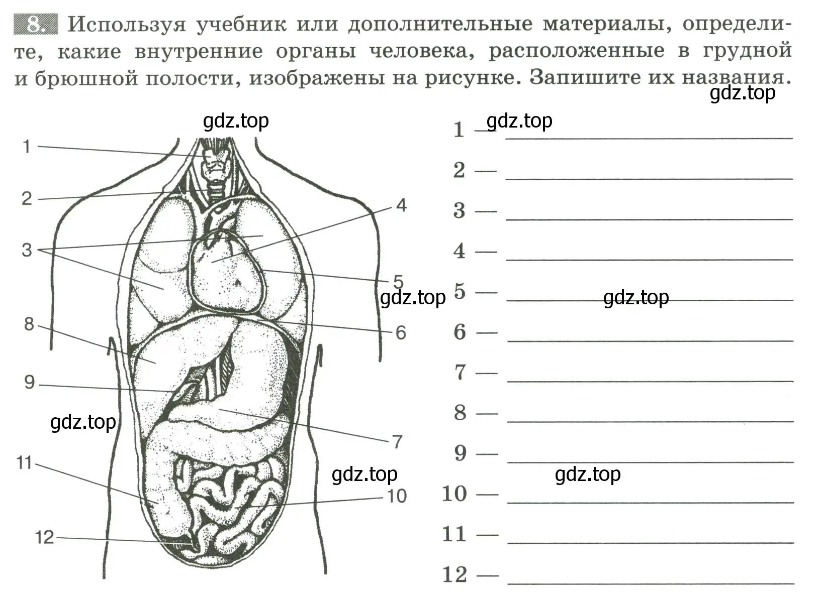 Условие номер 8 (страница 20) гдз по биологии 9 класс Пасечник, Швецов, рабочая тетрадь