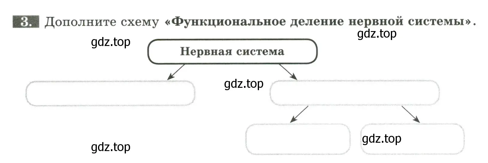 Условие номер 3 (страница 28) гдз по биологии 9 класс Пасечник, Швецов, рабочая тетрадь