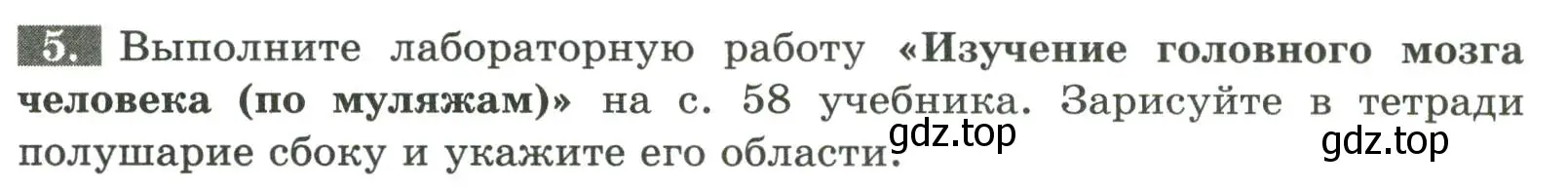 Условие номер 5 (страница 31) гдз по биологии 9 класс Пасечник, Швецов, рабочая тетрадь