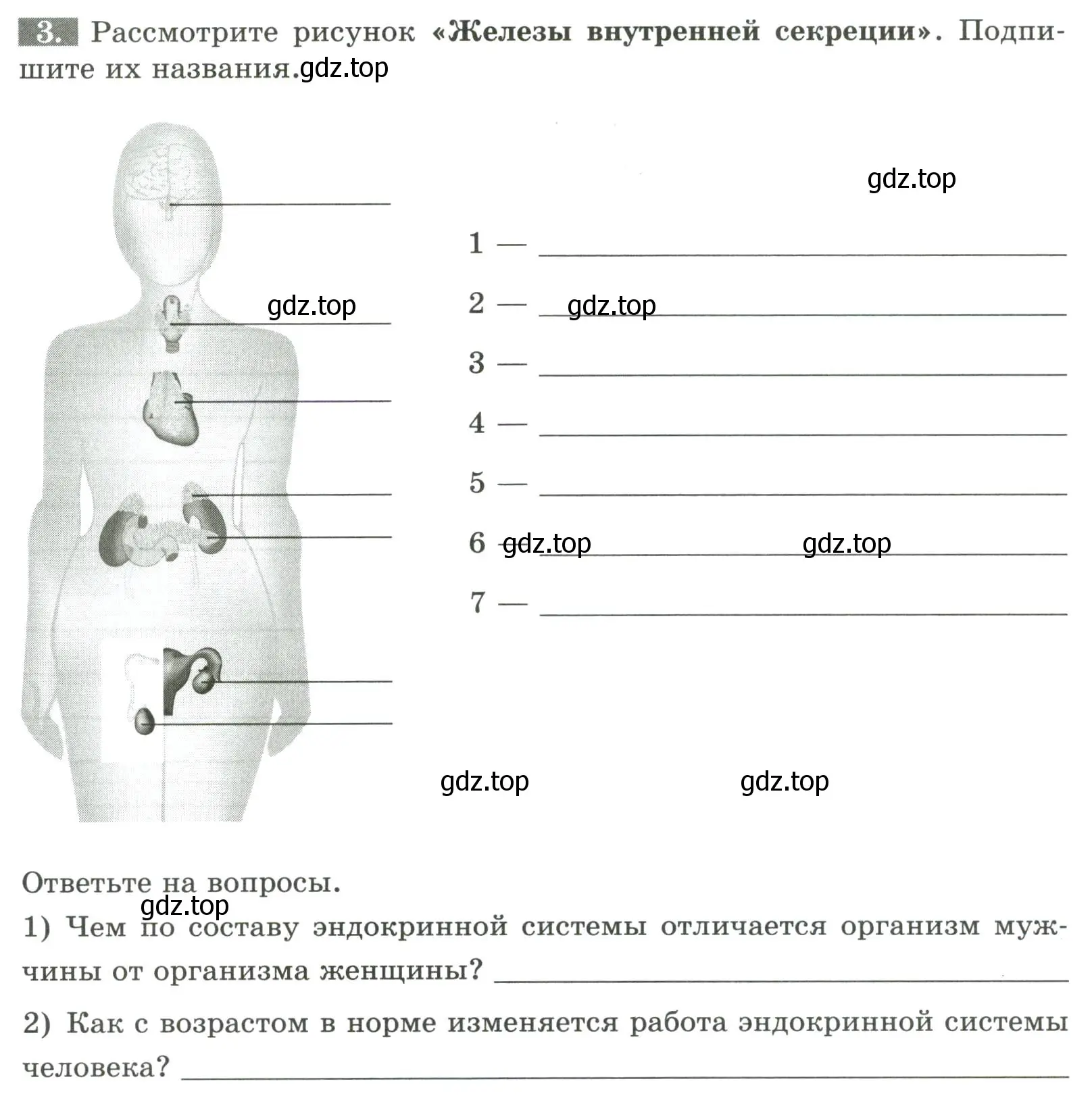 Условие номер 3 (страница 36) гдз по биологии 9 класс Пасечник, Швецов, рабочая тетрадь