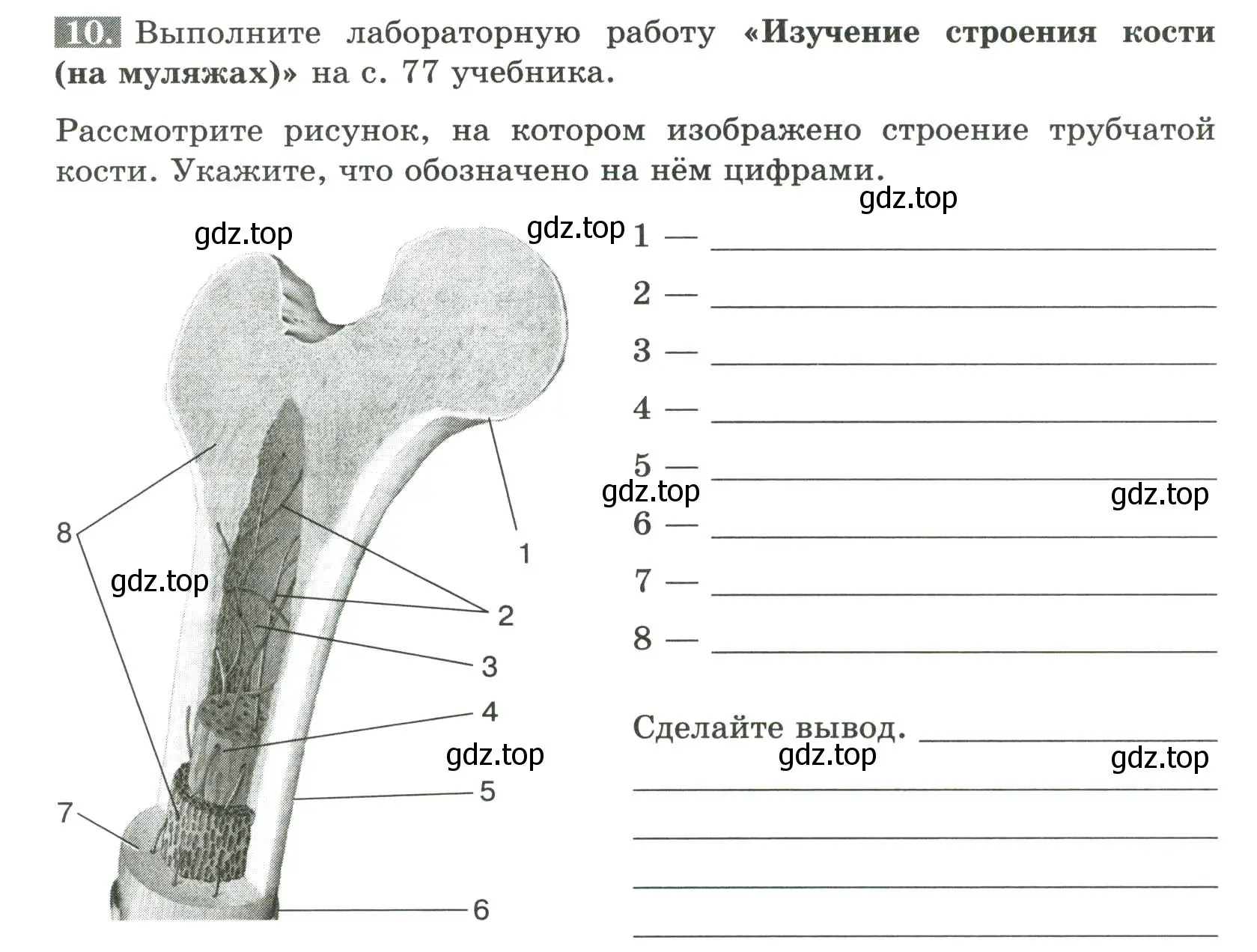 Условие номер 10 (страница 44) гдз по биологии 9 класс Пасечник, Швецов, рабочая тетрадь