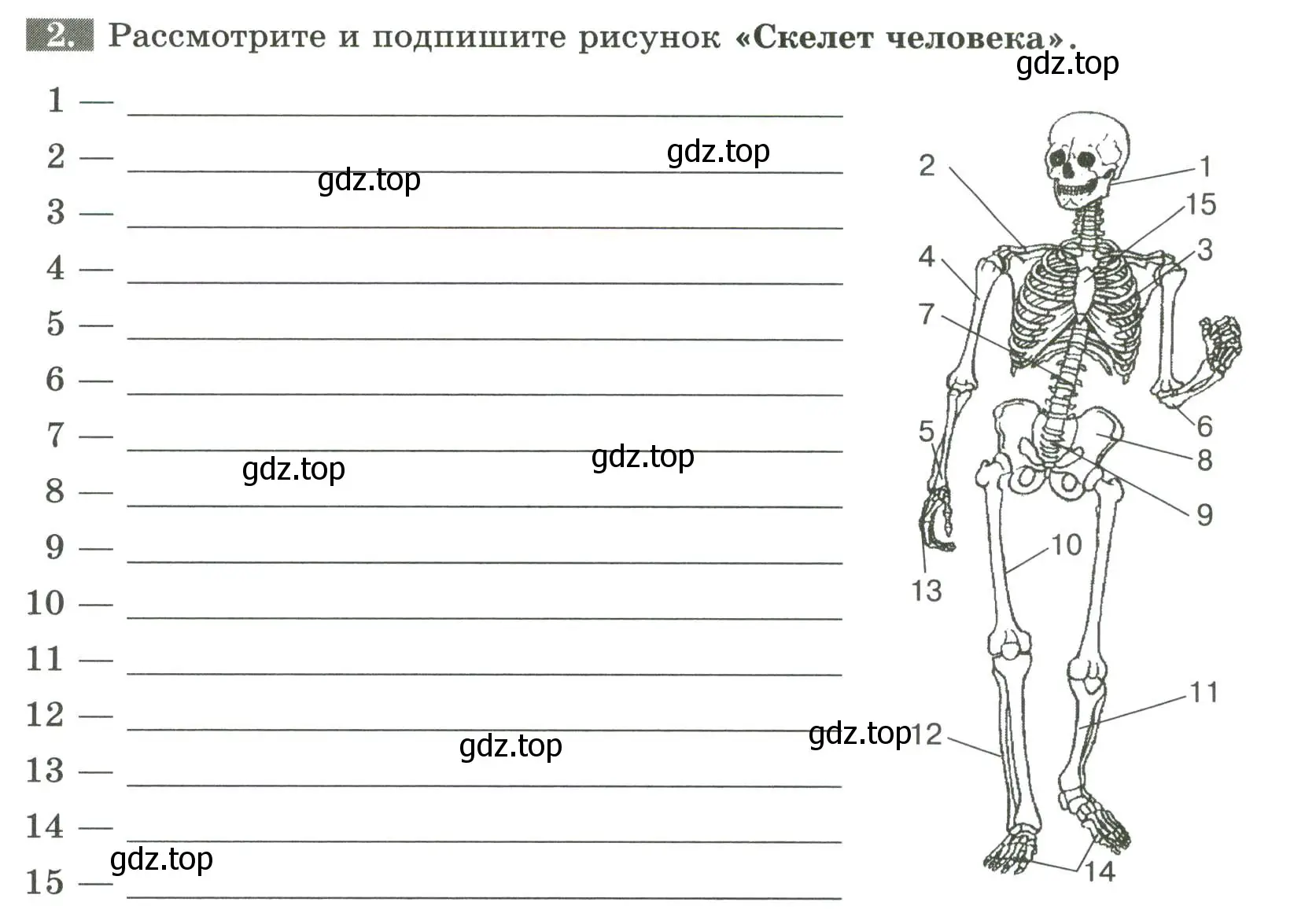 Условие номер 2 (страница 45) гдз по биологии 9 класс Пасечник, Швецов, рабочая тетрадь