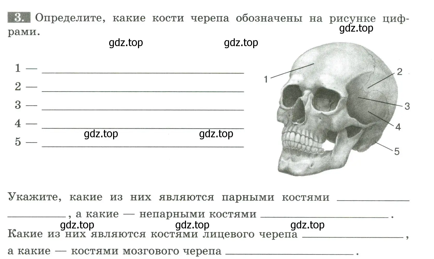 Условие номер 3 (страница 45) гдз по биологии 9 класс Пасечник, Швецов, рабочая тетрадь