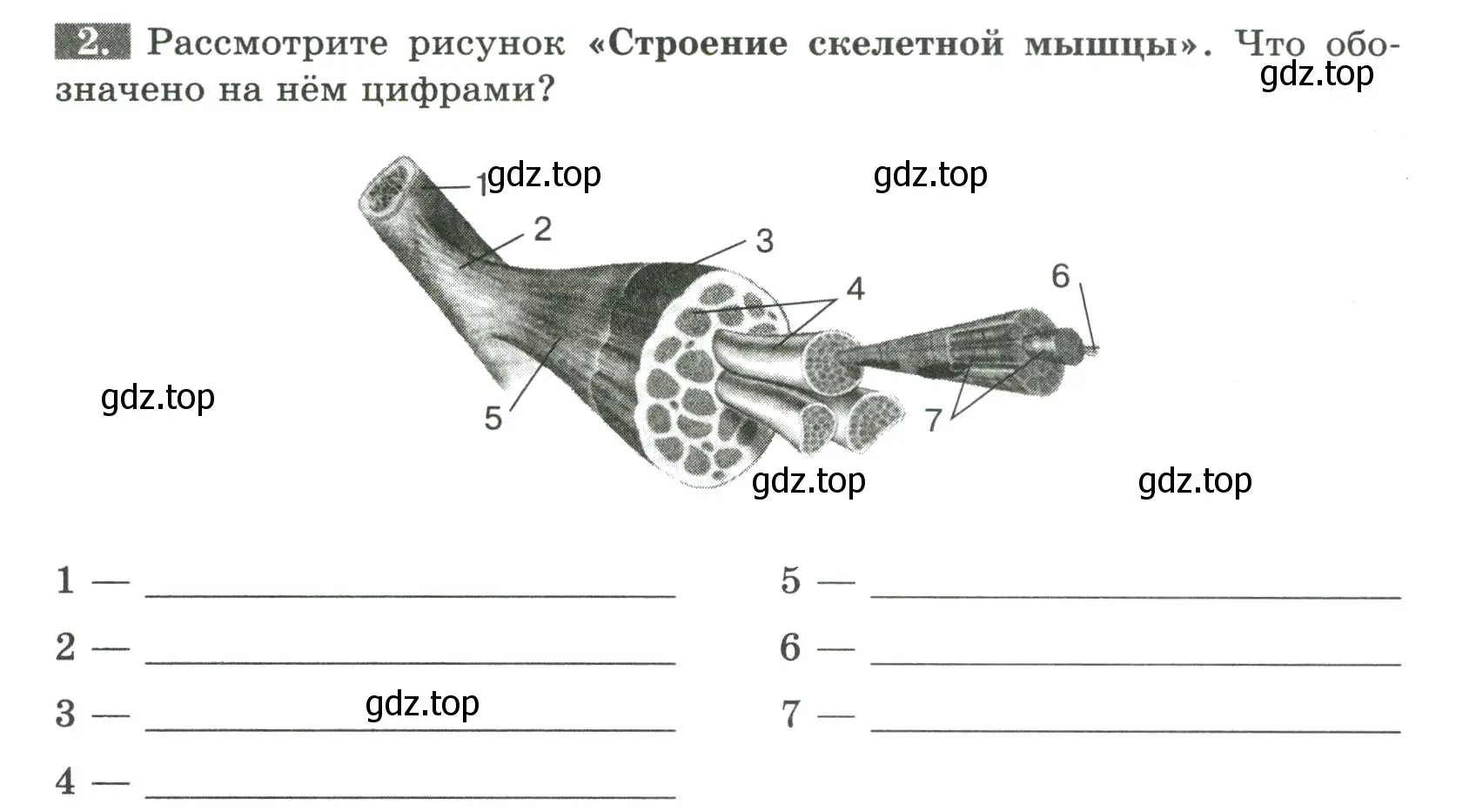 Условие номер 2 (страница 49) гдз по биологии 9 класс Пасечник, Швецов, рабочая тетрадь