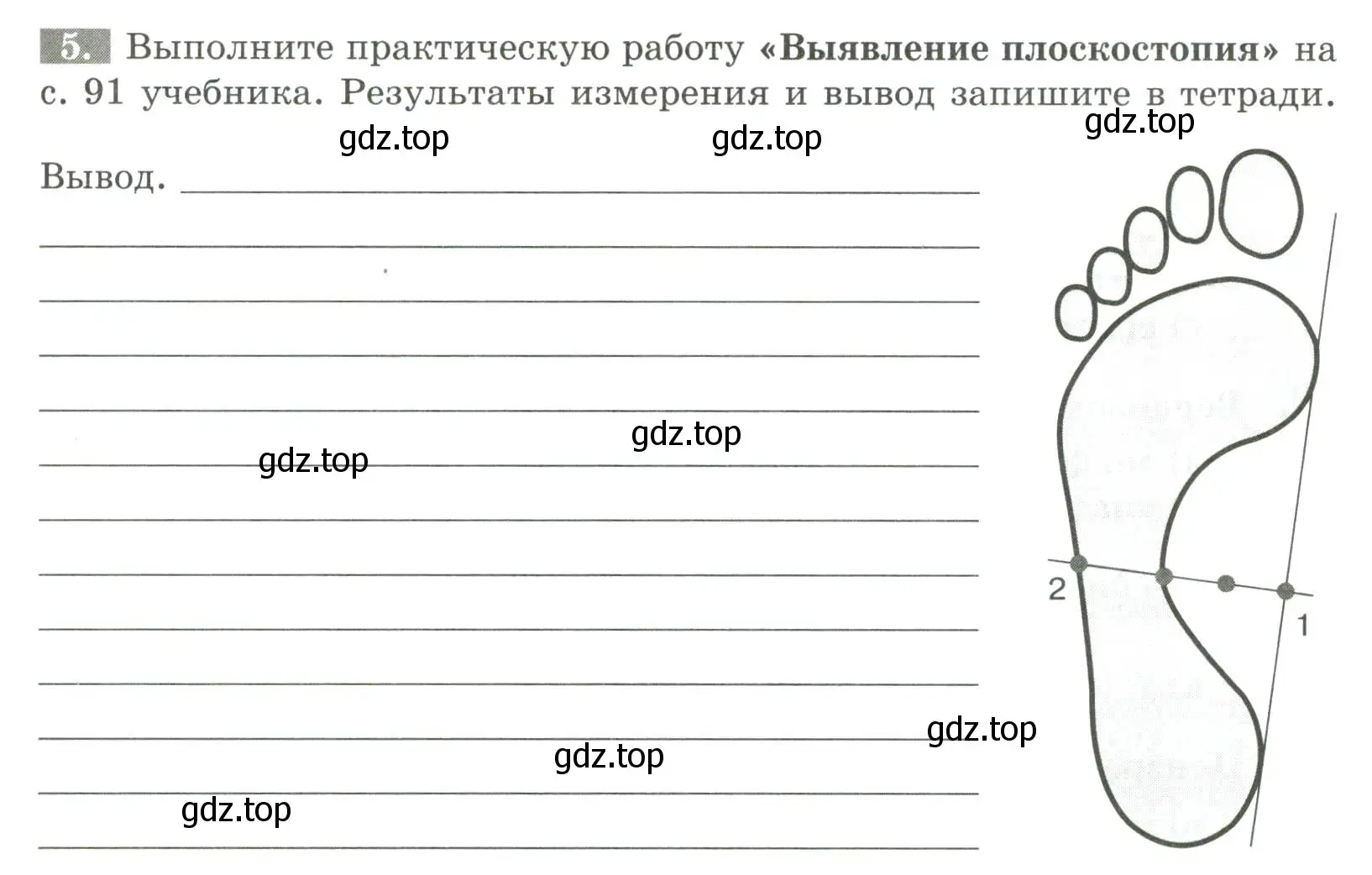 Условие номер 5 (страница 55) гдз по биологии 9 класс Пасечник, Швецов, рабочая тетрадь