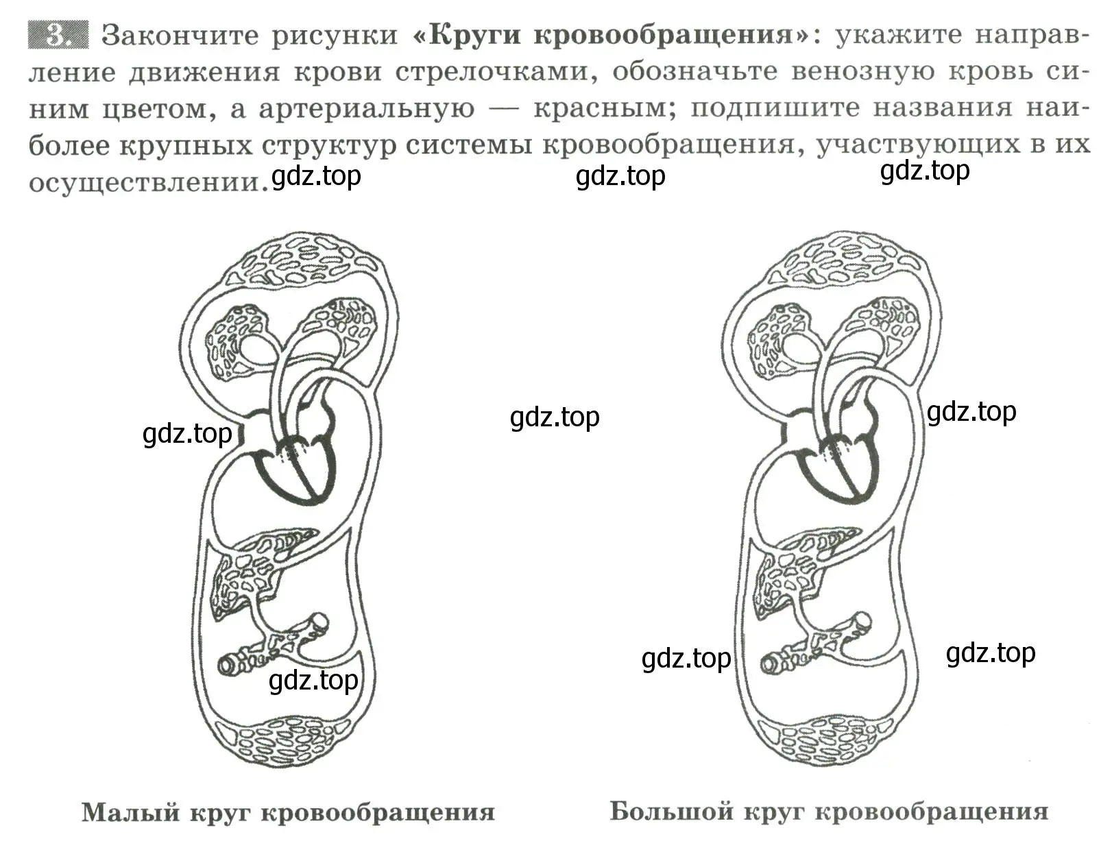 Условие номер 3 (страница 68) гдз по биологии 9 класс Пасечник, Швецов, рабочая тетрадь