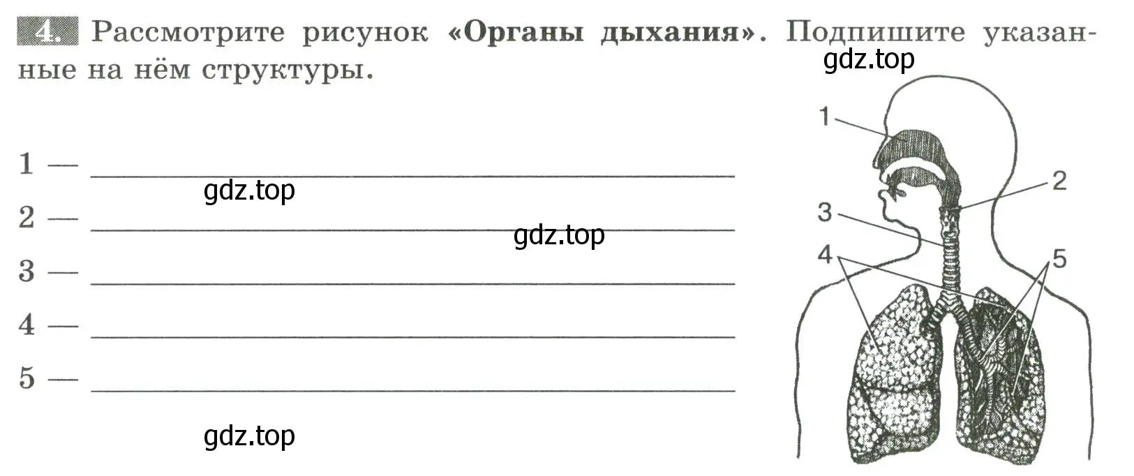 Условие номер 4 (страница 75) гдз по биологии 9 класс Пасечник, Швецов, рабочая тетрадь