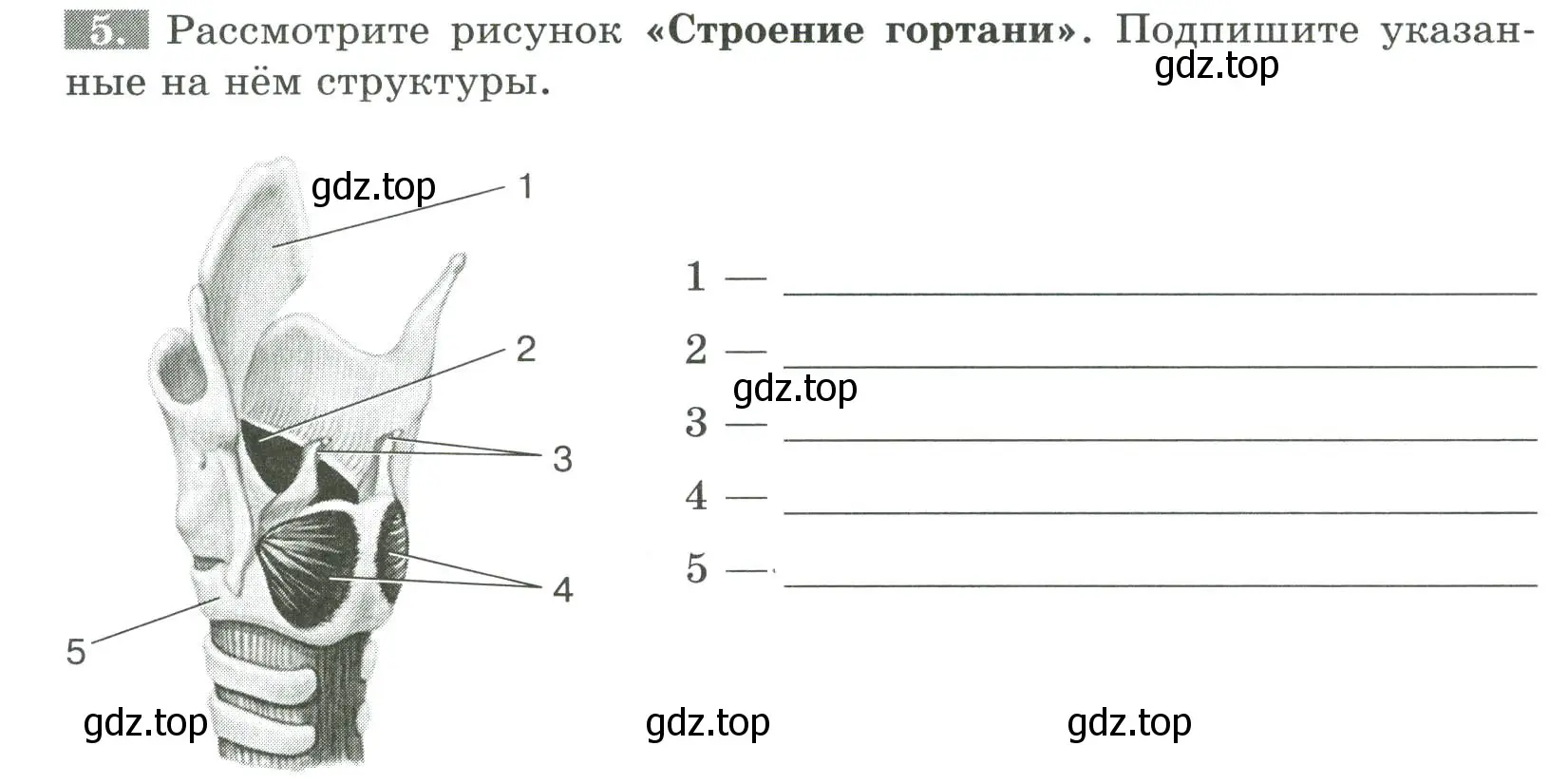 Условие номер 5 (страница 76) гдз по биологии 9 класс Пасечник, Швецов, рабочая тетрадь