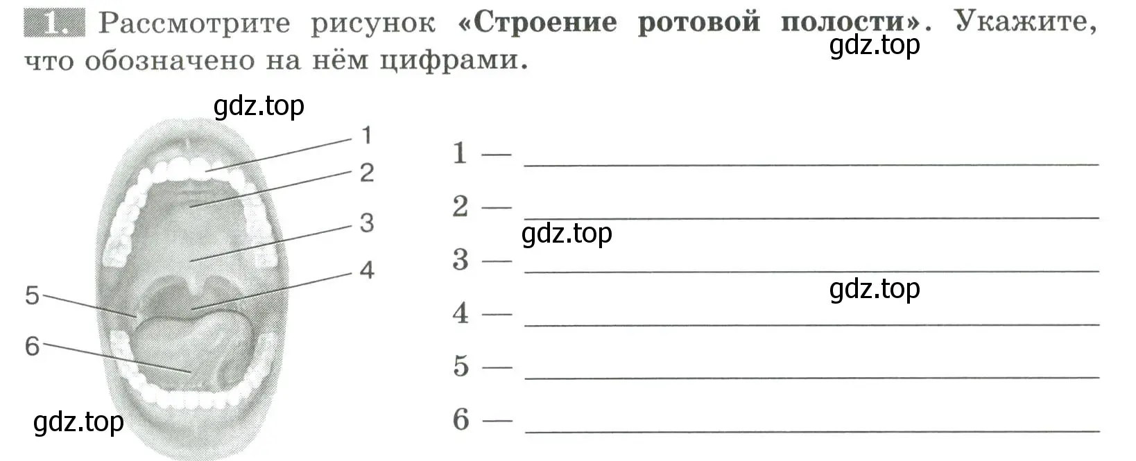 Условие номер 1 (страница 84) гдз по биологии 9 класс Пасечник, Швецов, рабочая тетрадь