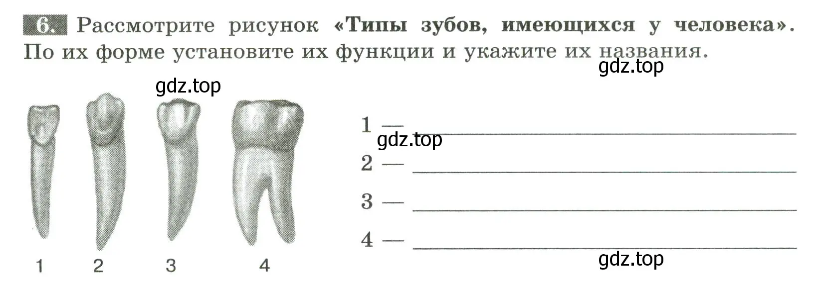 Условие номер 6 (страница 86) гдз по биологии 9 класс Пасечник, Швецов, рабочая тетрадь