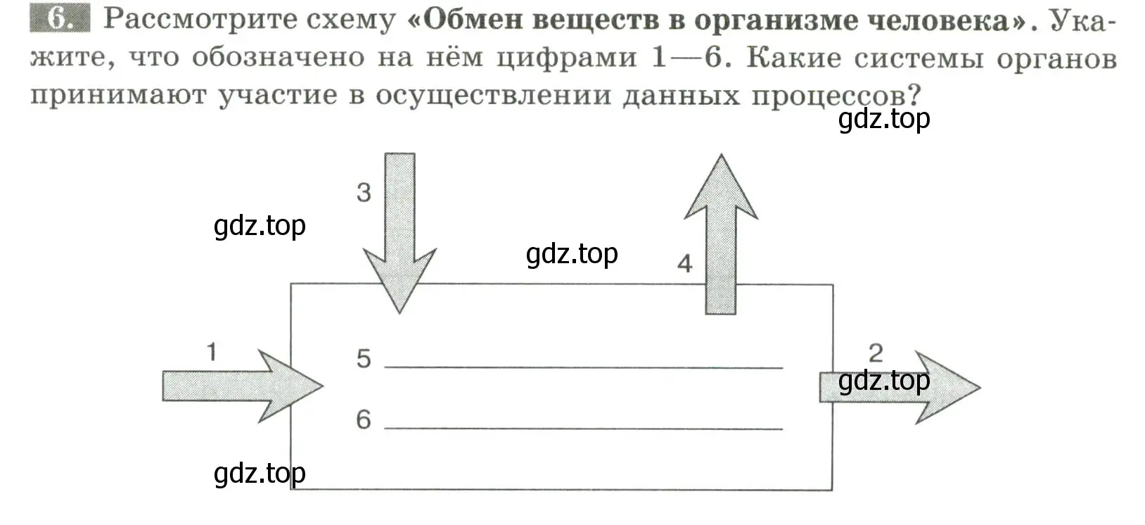 Условие номер 6 (страница 99) гдз по биологии 9 класс Пасечник, Швецов, рабочая тетрадь