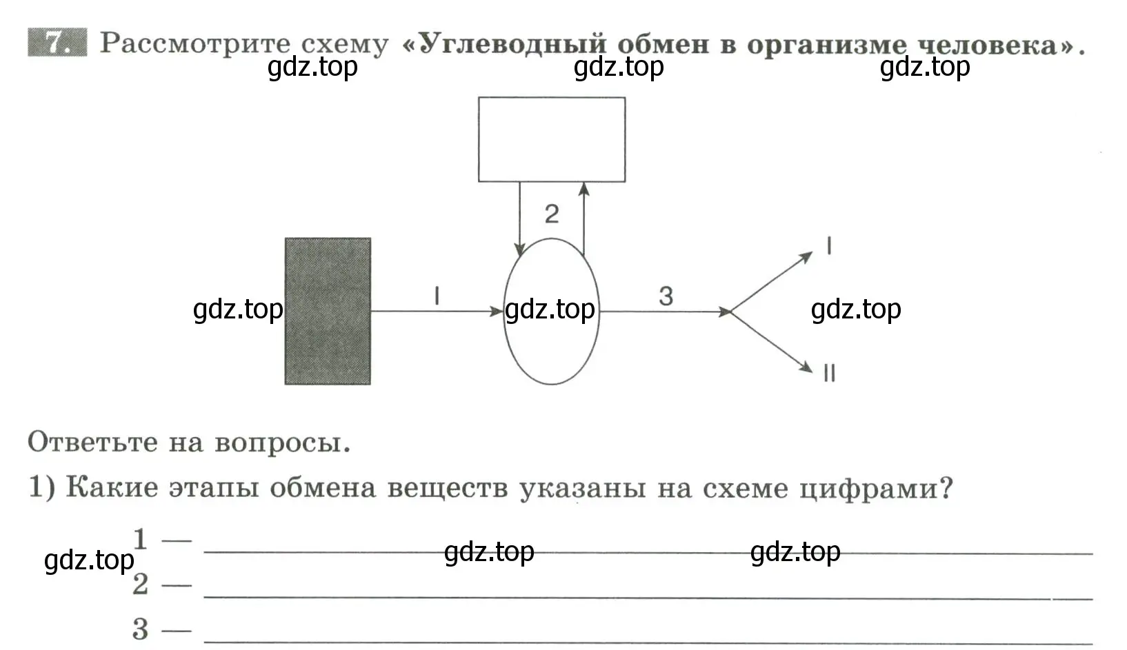 Условие номер 7 (страница 99) гдз по биологии 9 класс Пасечник, Швецов, рабочая тетрадь