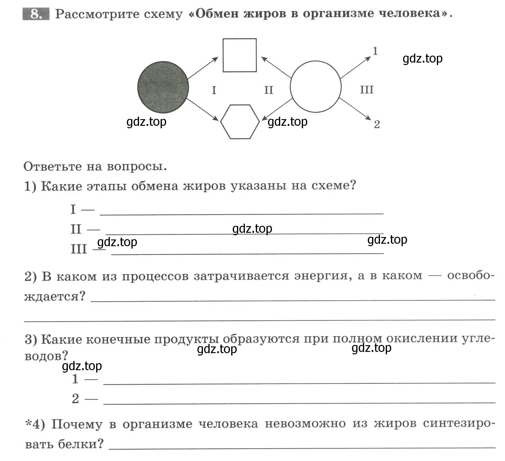 Условие номер 8 (страница 100) гдз по биологии 9 класс Пасечник, Швецов, рабочая тетрадь