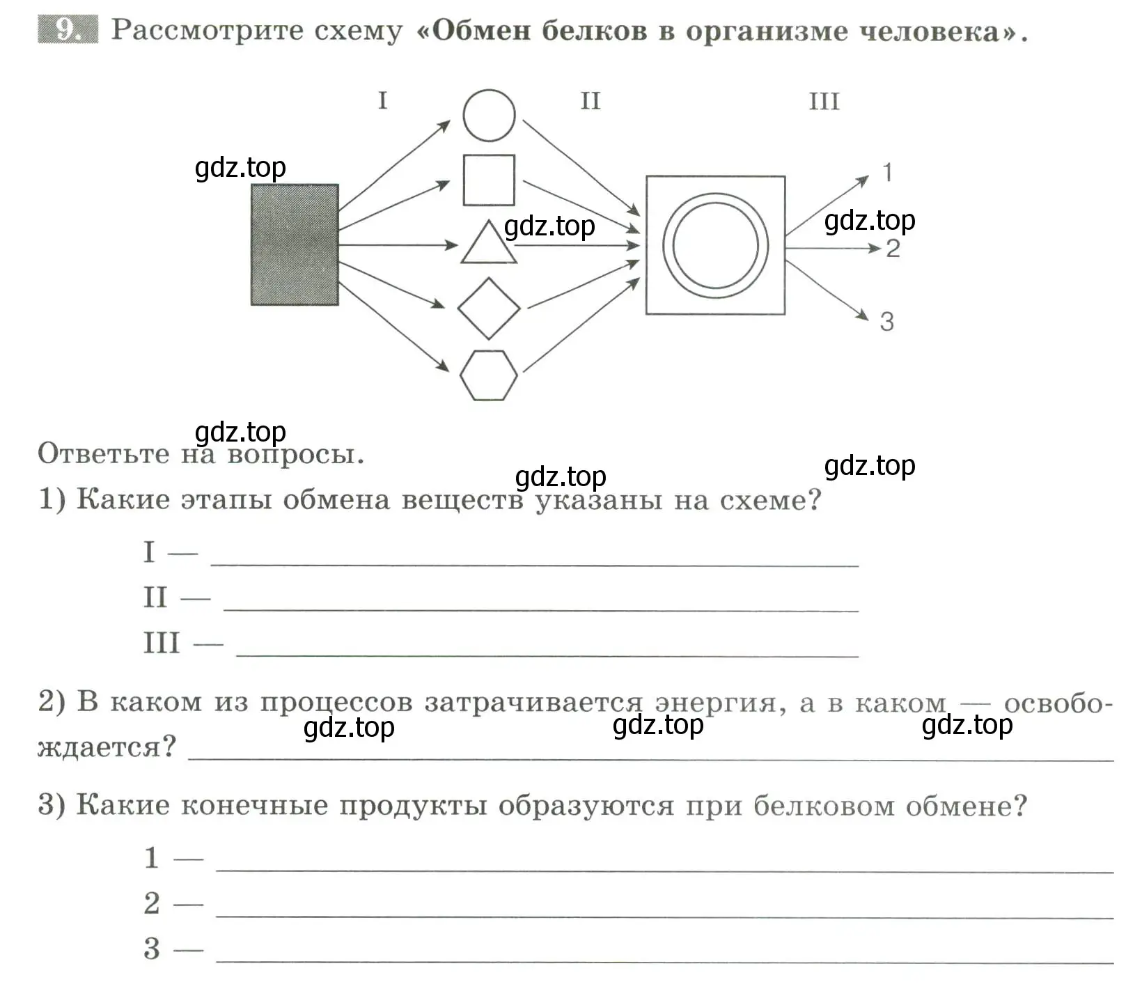 Условие номер 9 (страница 101) гдз по биологии 9 класс Пасечник, Швецов, рабочая тетрадь