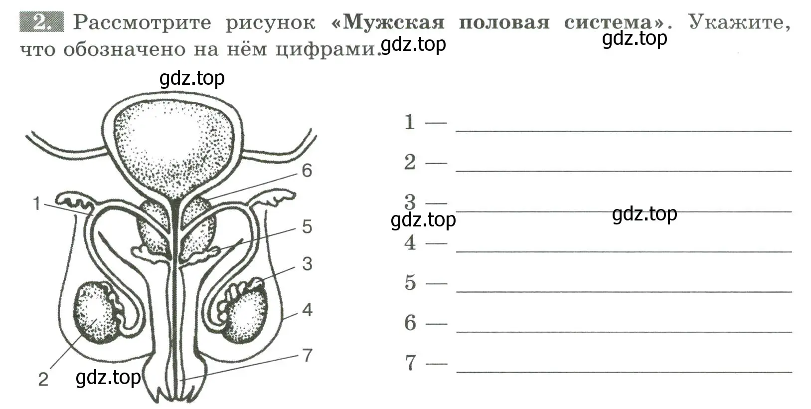 Условие номер 2 (страница 122) гдз по биологии 9 класс Пасечник, Швецов, рабочая тетрадь