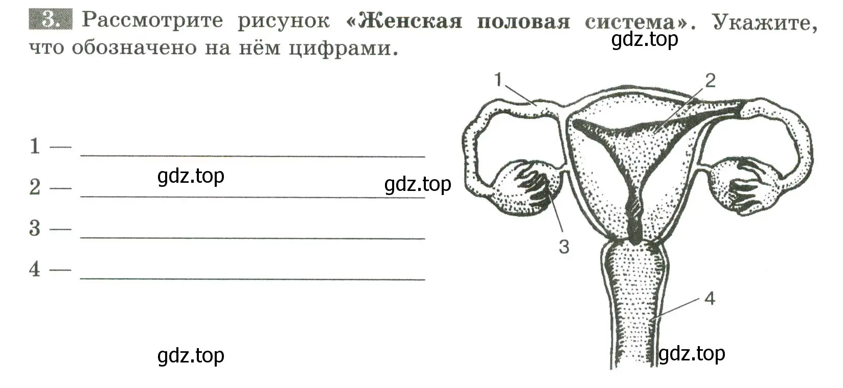 Условие номер 3 (страница 123) гдз по биологии 9 класс Пасечник, Швецов, рабочая тетрадь