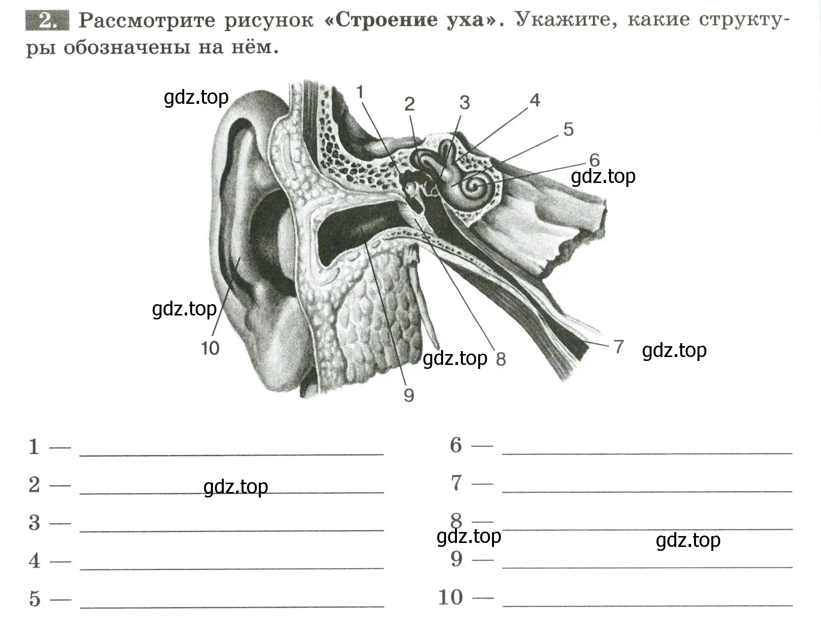 Условие номер 2 (страница 134) гдз по биологии 9 класс Пасечник, Швецов, рабочая тетрадь