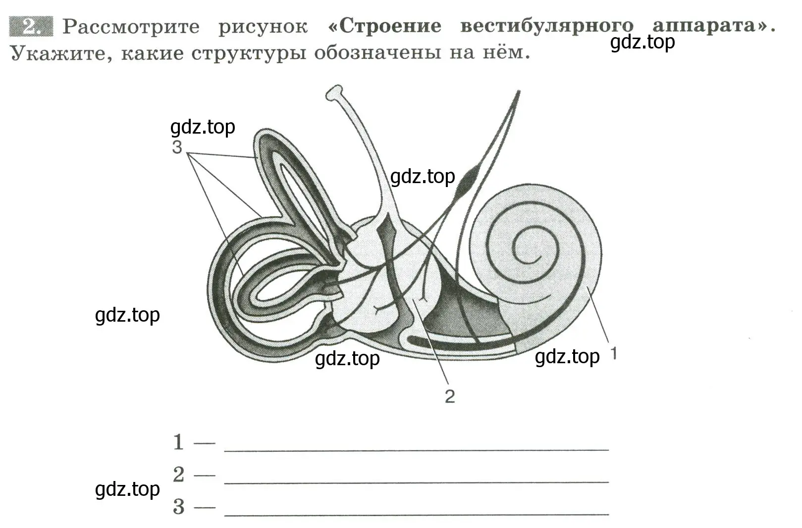 Условие номер 2 (страница 136) гдз по биологии 9 класс Пасечник, Швецов, рабочая тетрадь