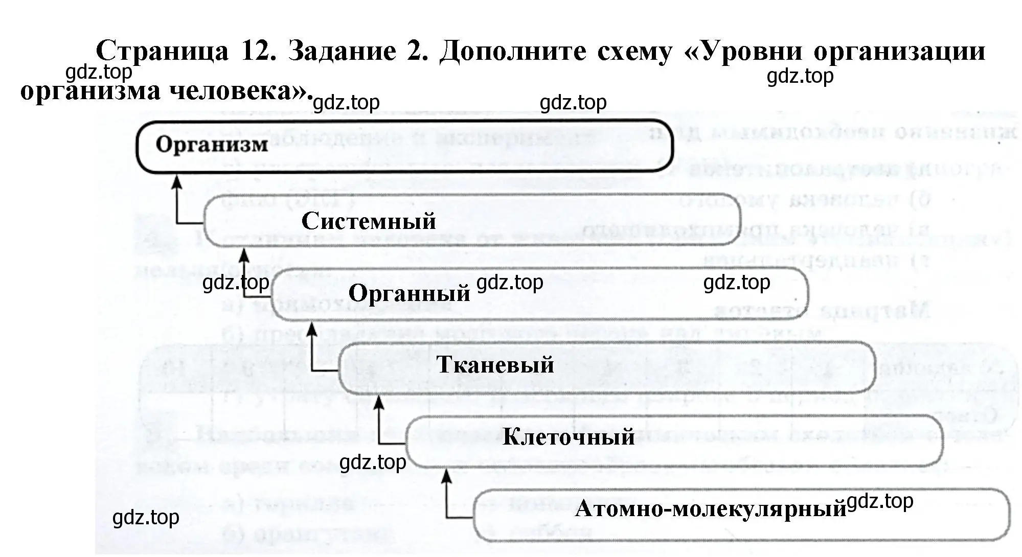 Решение номер 2 (страница 12) гдз по биологии 9 класс Пасечник, Швецов, рабочая тетрадь