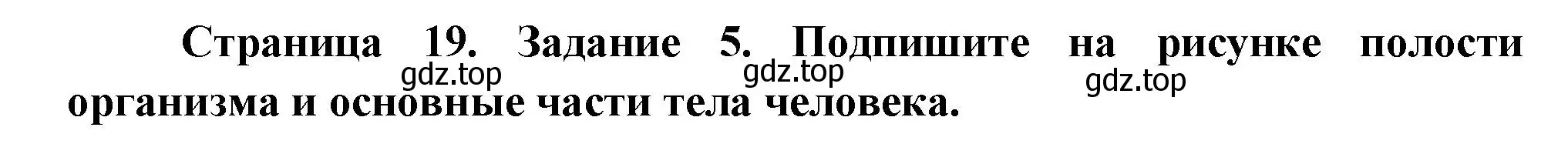 Решение номер 5 (страница 19) гдз по биологии 9 класс Пасечник, Швецов, рабочая тетрадь