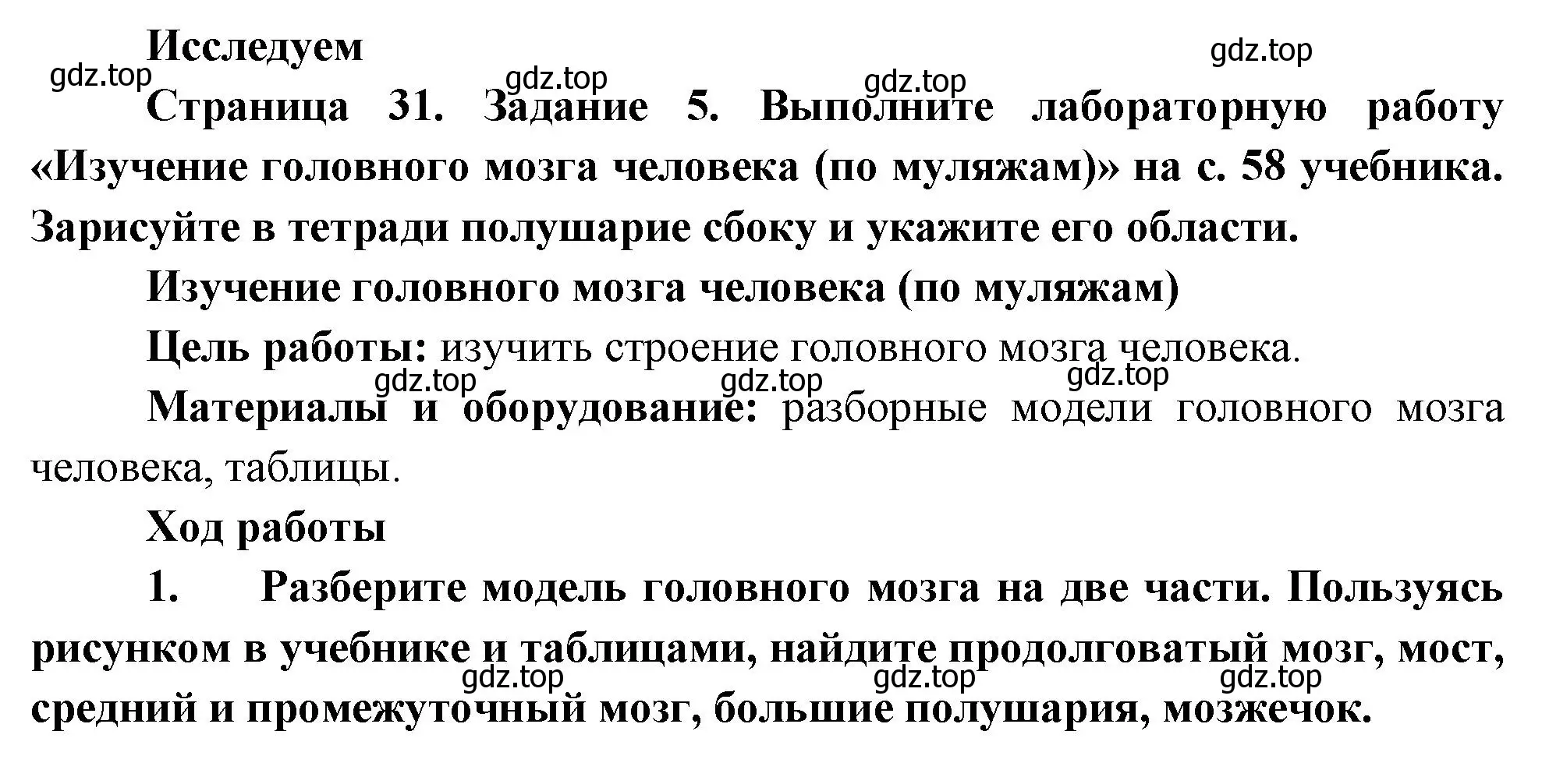 Решение номер 5 (страница 31) гдз по биологии 9 класс Пасечник, Швецов, рабочая тетрадь