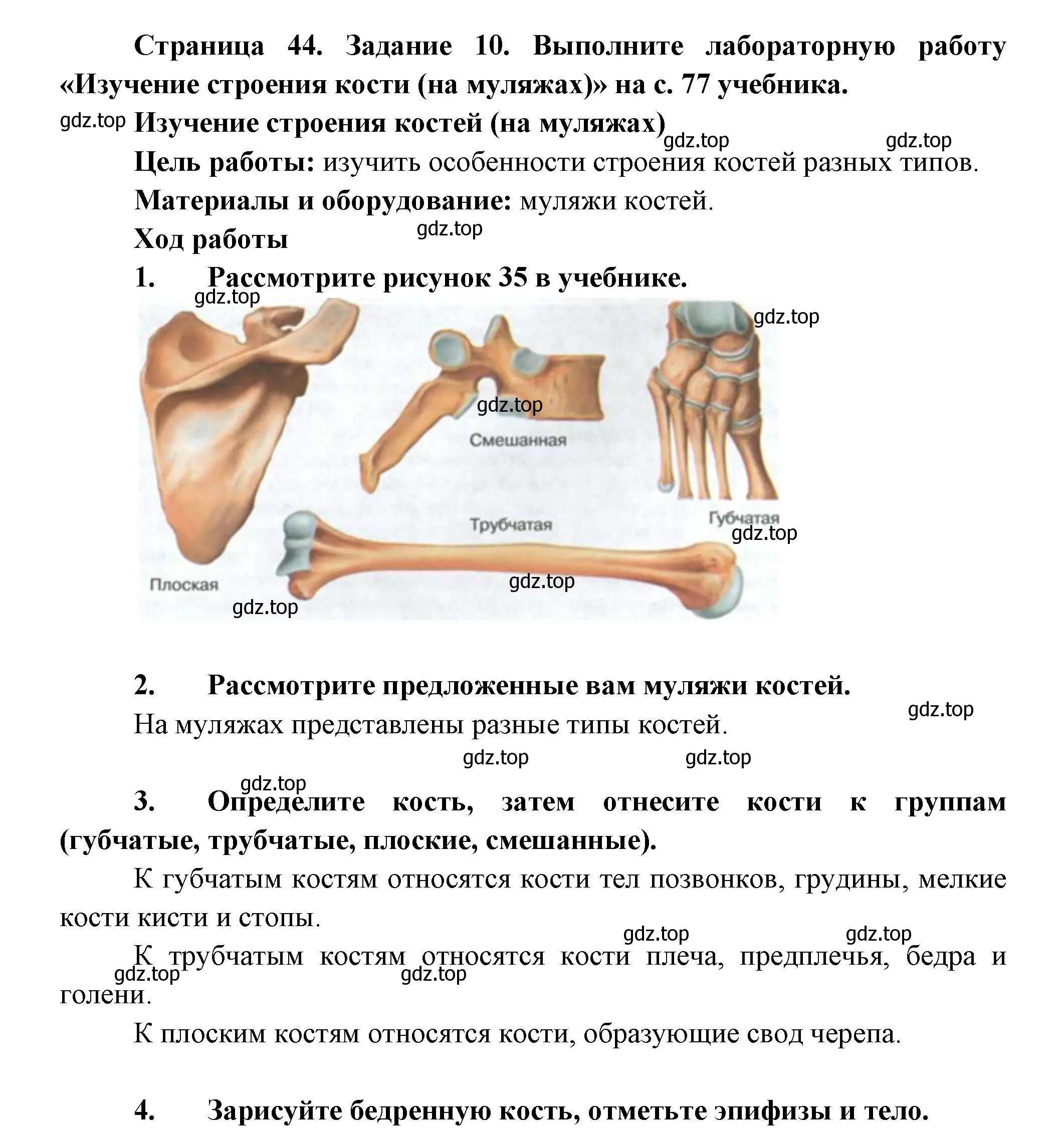 Решение номер 10 (страница 44) гдз по биологии 9 класс Пасечник, Швецов, рабочая тетрадь