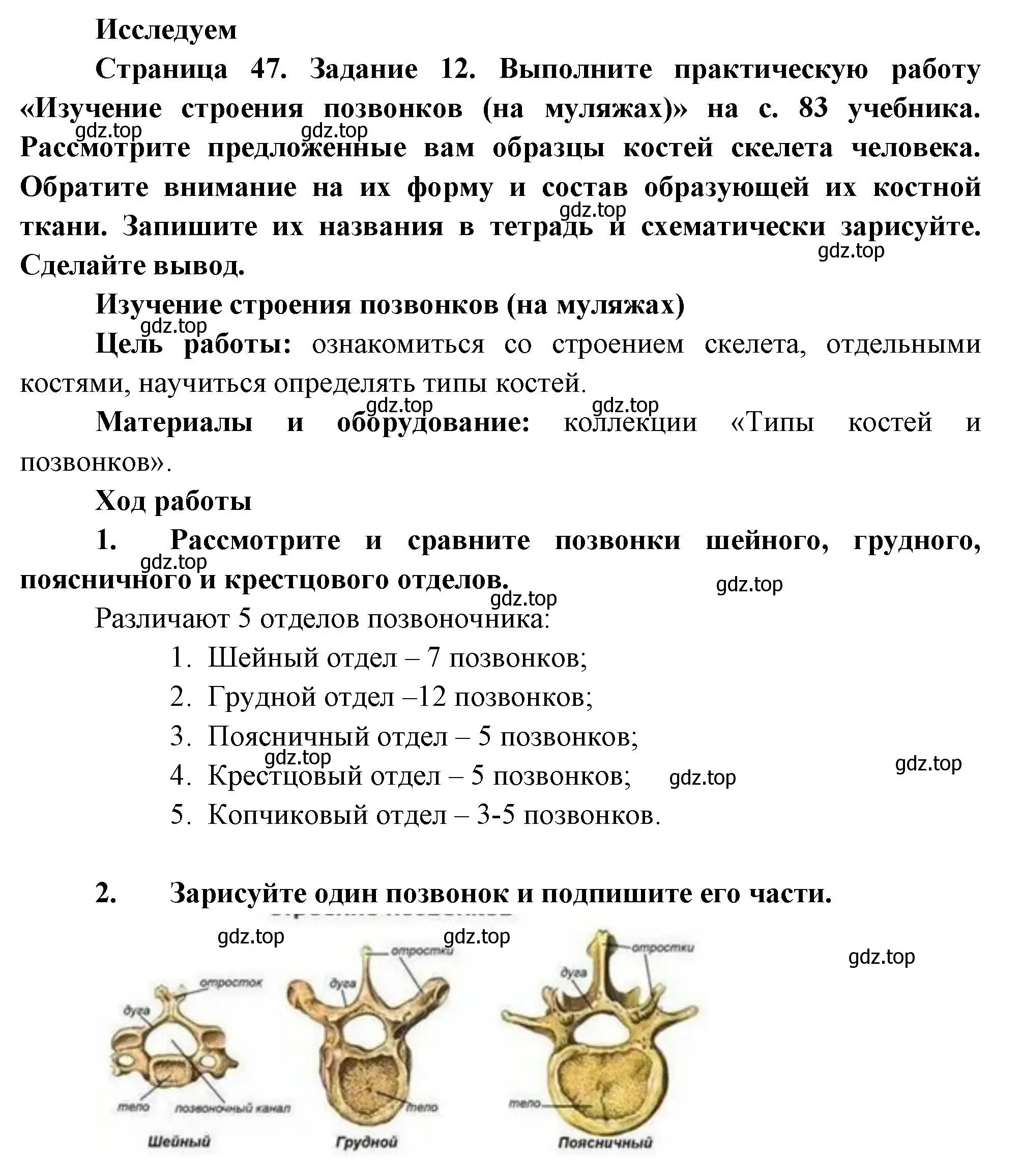 Решение номер 12 (страница 47) гдз по биологии 9 класс Пасечник, Швецов, рабочая тетрадь