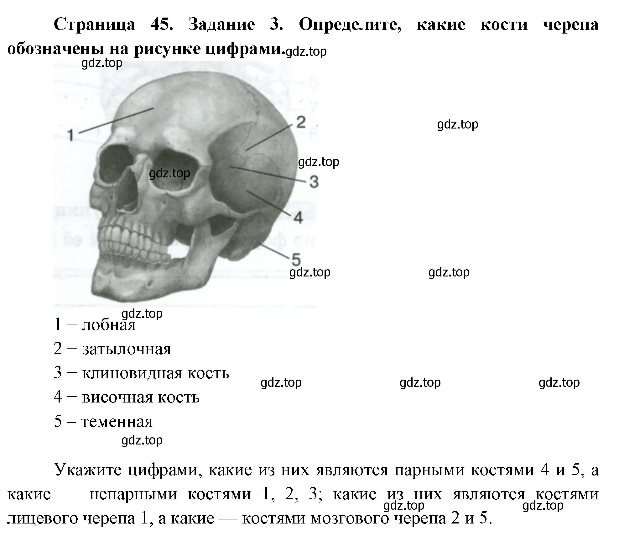 Решение номер 3 (страница 45) гдз по биологии 9 класс Пасечник, Швецов, рабочая тетрадь