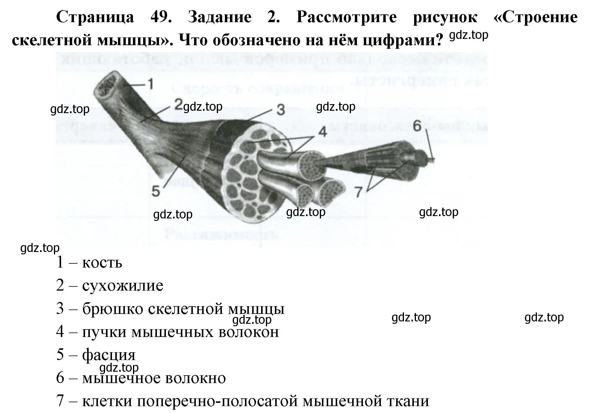 Решение номер 2 (страница 49) гдз по биологии 9 класс Пасечник, Швецов, рабочая тетрадь