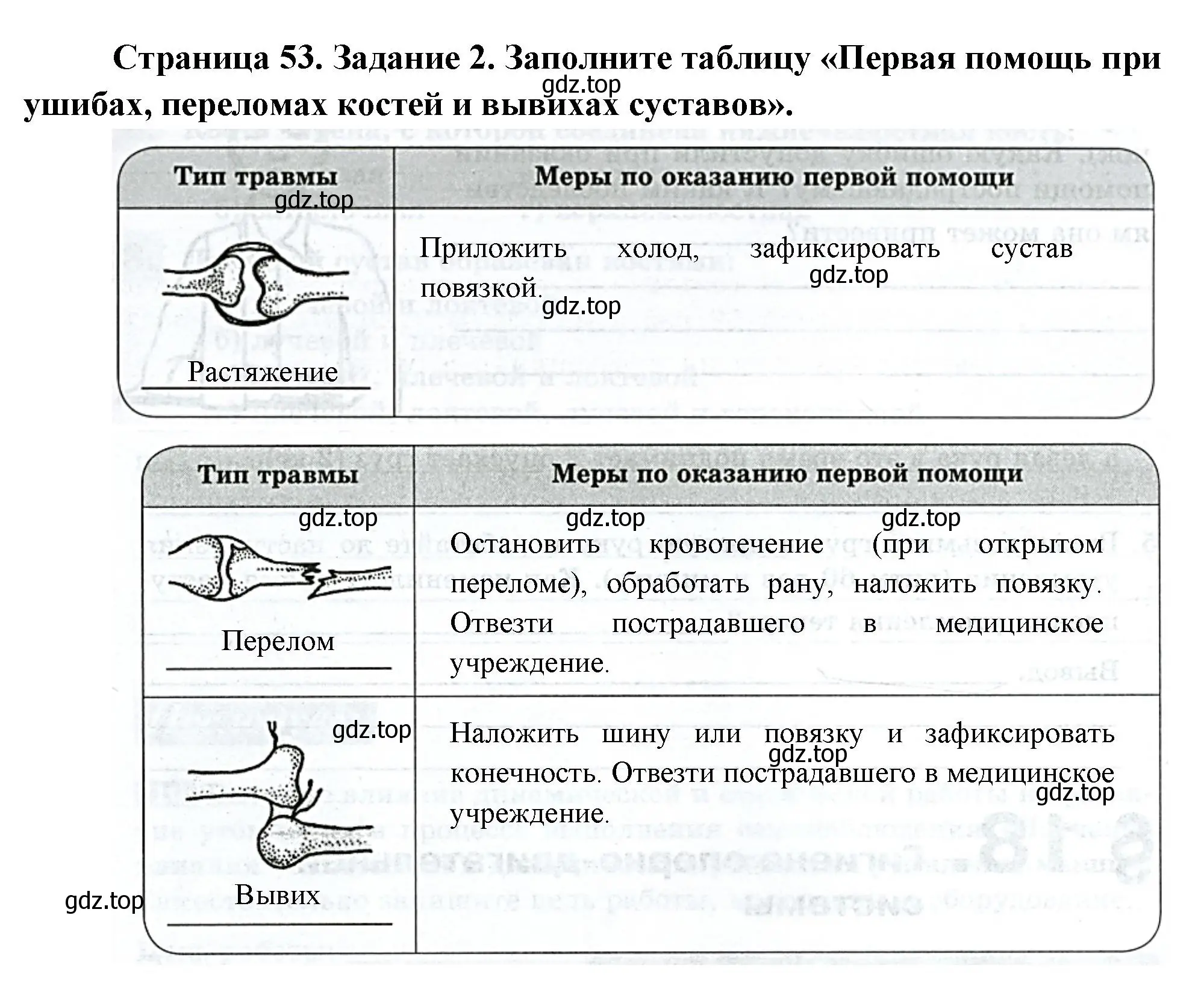 Решение номер 2 (страница 53) гдз по биологии 9 класс Пасечник, Швецов, рабочая тетрадь