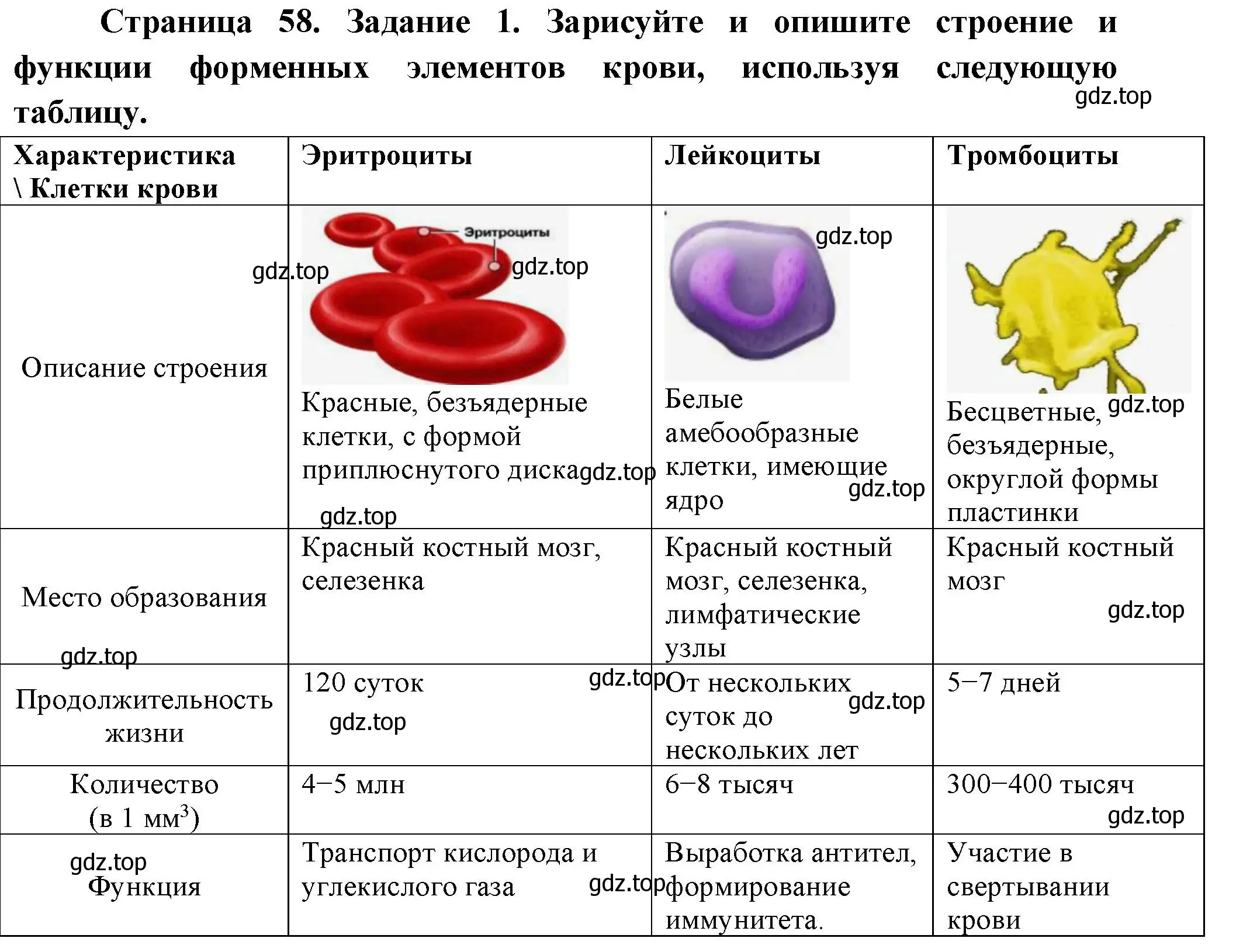 Решение номер 1 (страница 58) гдз по биологии 9 класс Пасечник, Швецов, рабочая тетрадь