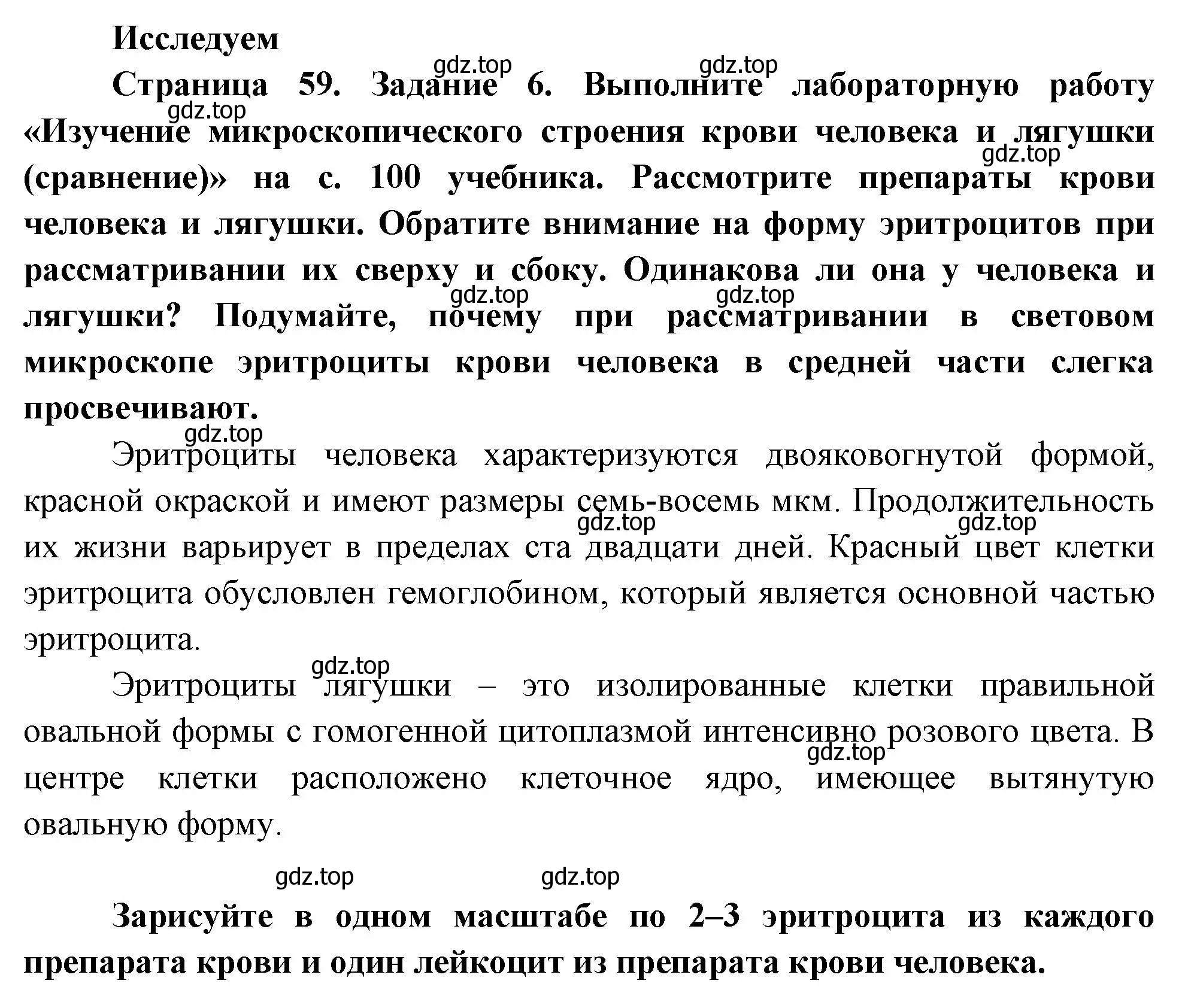 Решение номер 6 (страница 59) гдз по биологии 9 класс Пасечник, Швецов, рабочая тетрадь