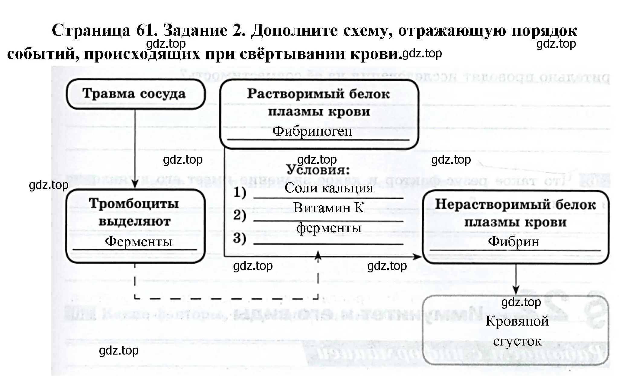 Решение номер 2 (страница 61) гдз по биологии 9 класс Пасечник, Швецов, рабочая тетрадь