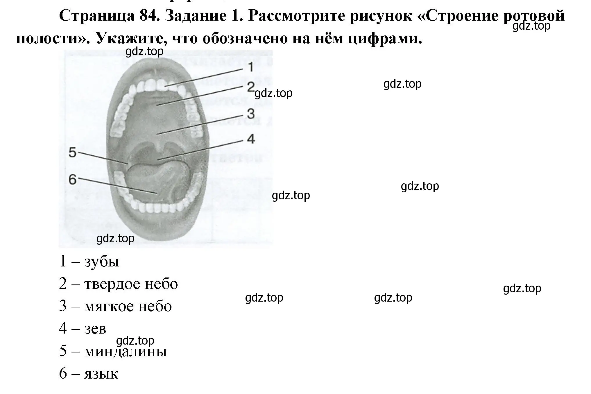 Решение номер 1 (страница 84) гдз по биологии 9 класс Пасечник, Швецов, рабочая тетрадь