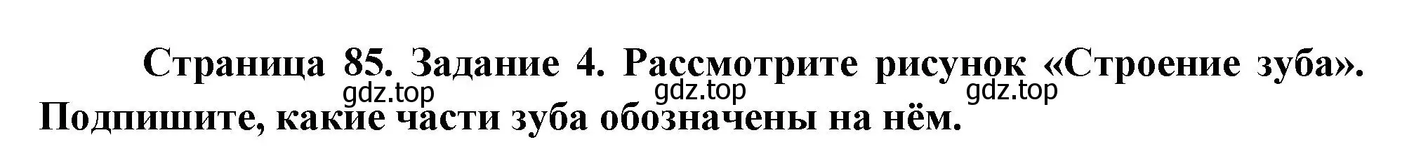 Решение номер 4 (страница 85) гдз по биологии 9 класс Пасечник, Швецов, рабочая тетрадь