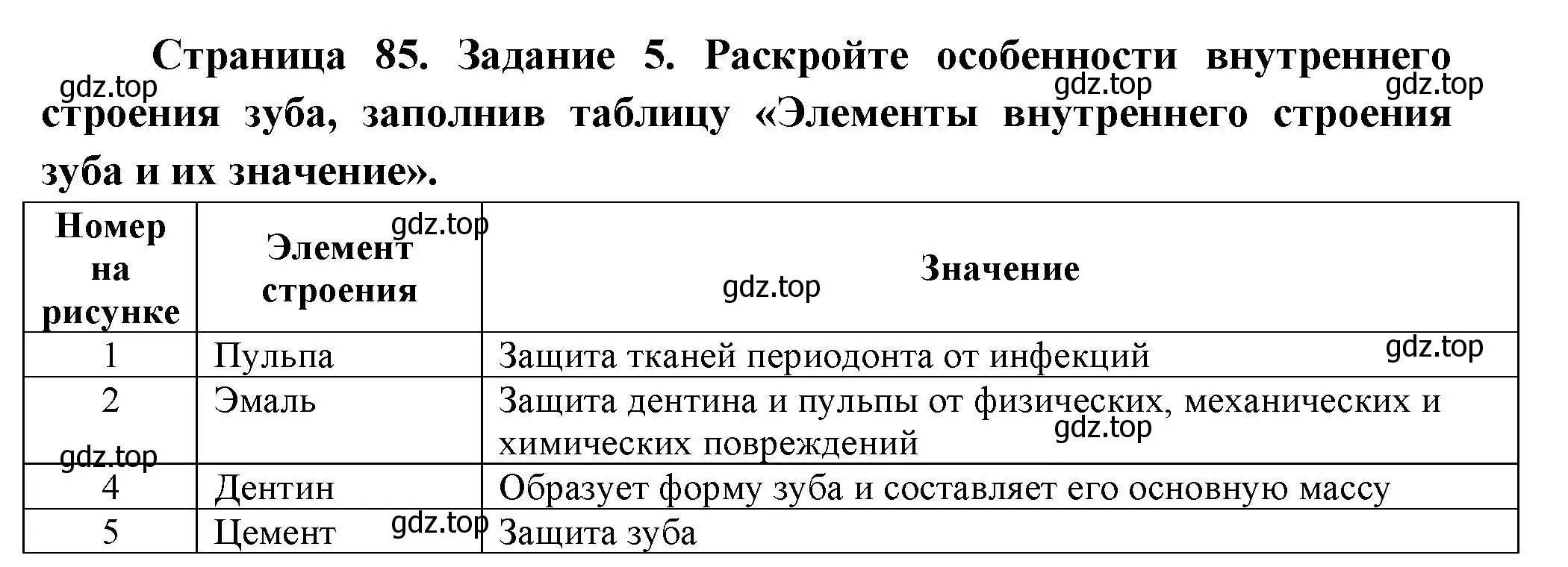 Решение номер 5 (страница 85) гдз по биологии 9 класс Пасечник, Швецов, рабочая тетрадь