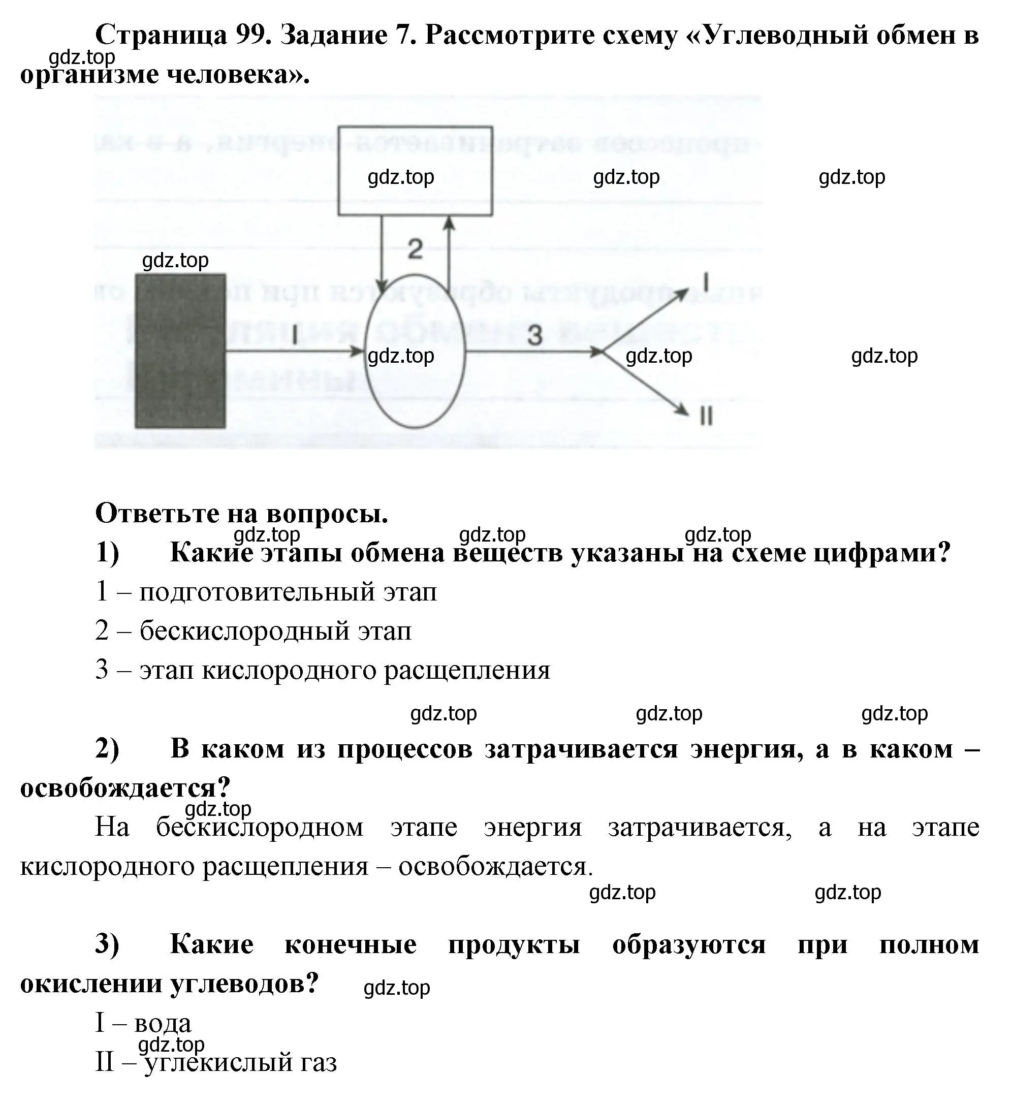 Решение номер 7 (страница 99) гдз по биологии 9 класс Пасечник, Швецов, рабочая тетрадь