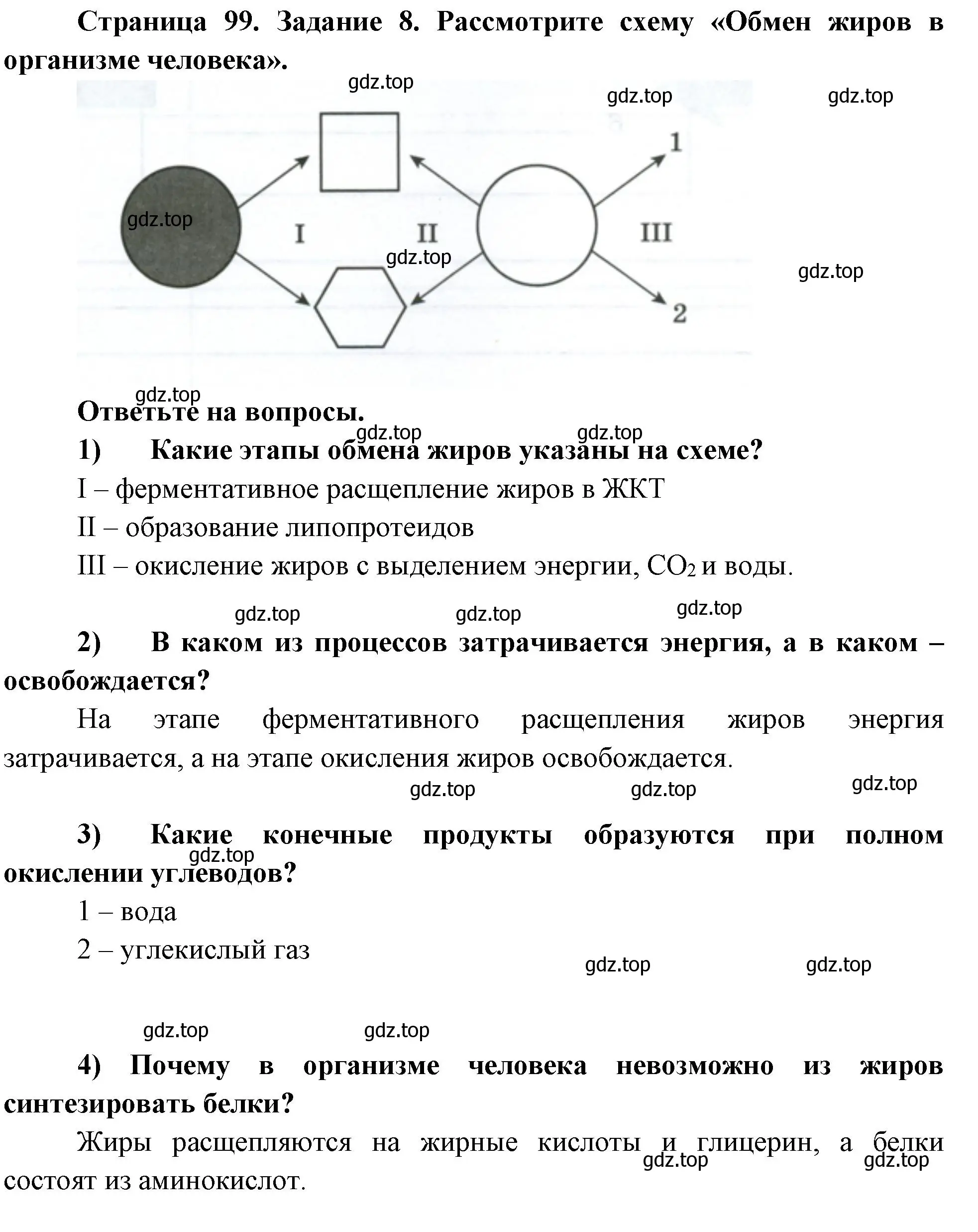 Решение номер 8 (страница 100) гдз по биологии 9 класс Пасечник, Швецов, рабочая тетрадь