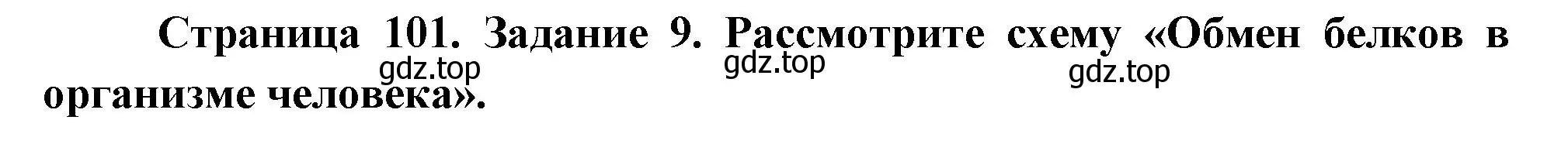 Решение номер 9 (страница 101) гдз по биологии 9 класс Пасечник, Швецов, рабочая тетрадь