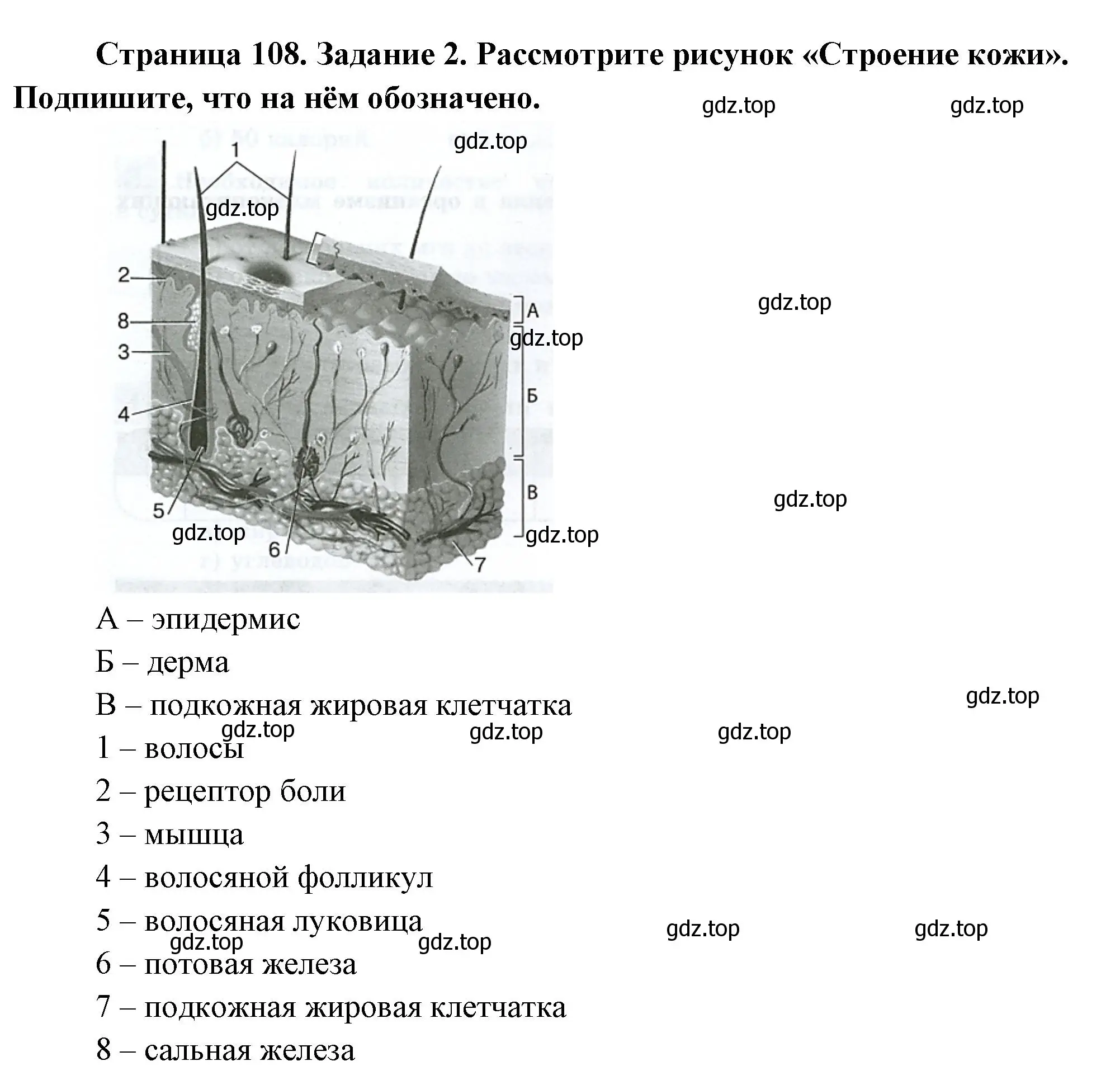 Решение номер 2 (страница 108) гдз по биологии 9 класс Пасечник, Швецов, рабочая тетрадь