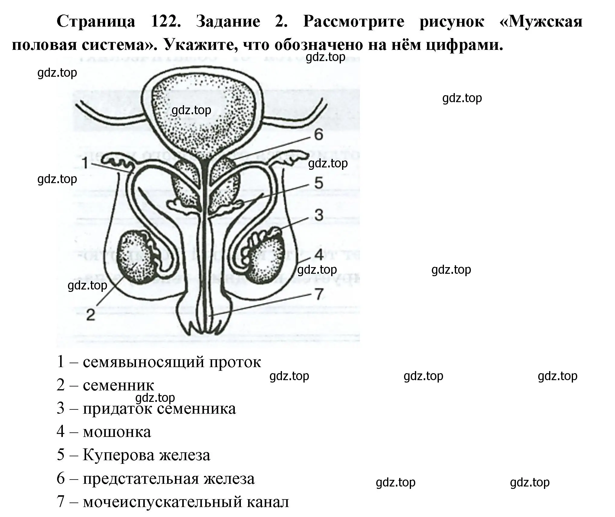 Решение номер 2 (страница 122) гдз по биологии 9 класс Пасечник, Швецов, рабочая тетрадь