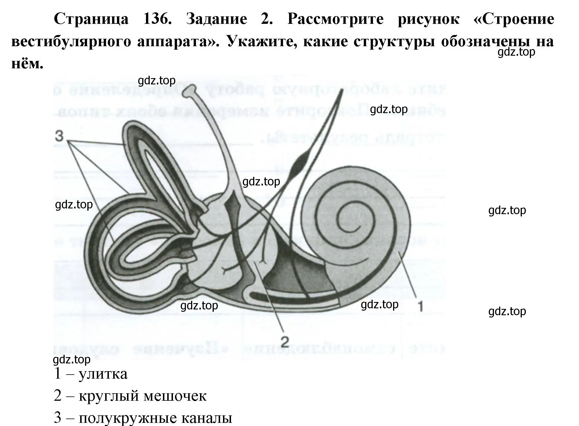 Решение номер 2 (страница 136) гдз по биологии 9 класс Пасечник, Швецов, рабочая тетрадь